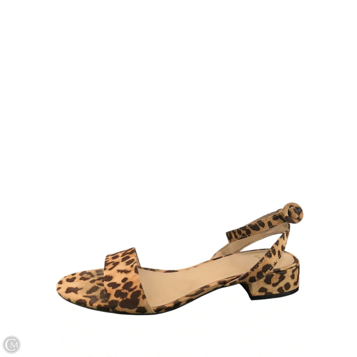 Sandals Flats By A New Day In Animal Print, Size: 8