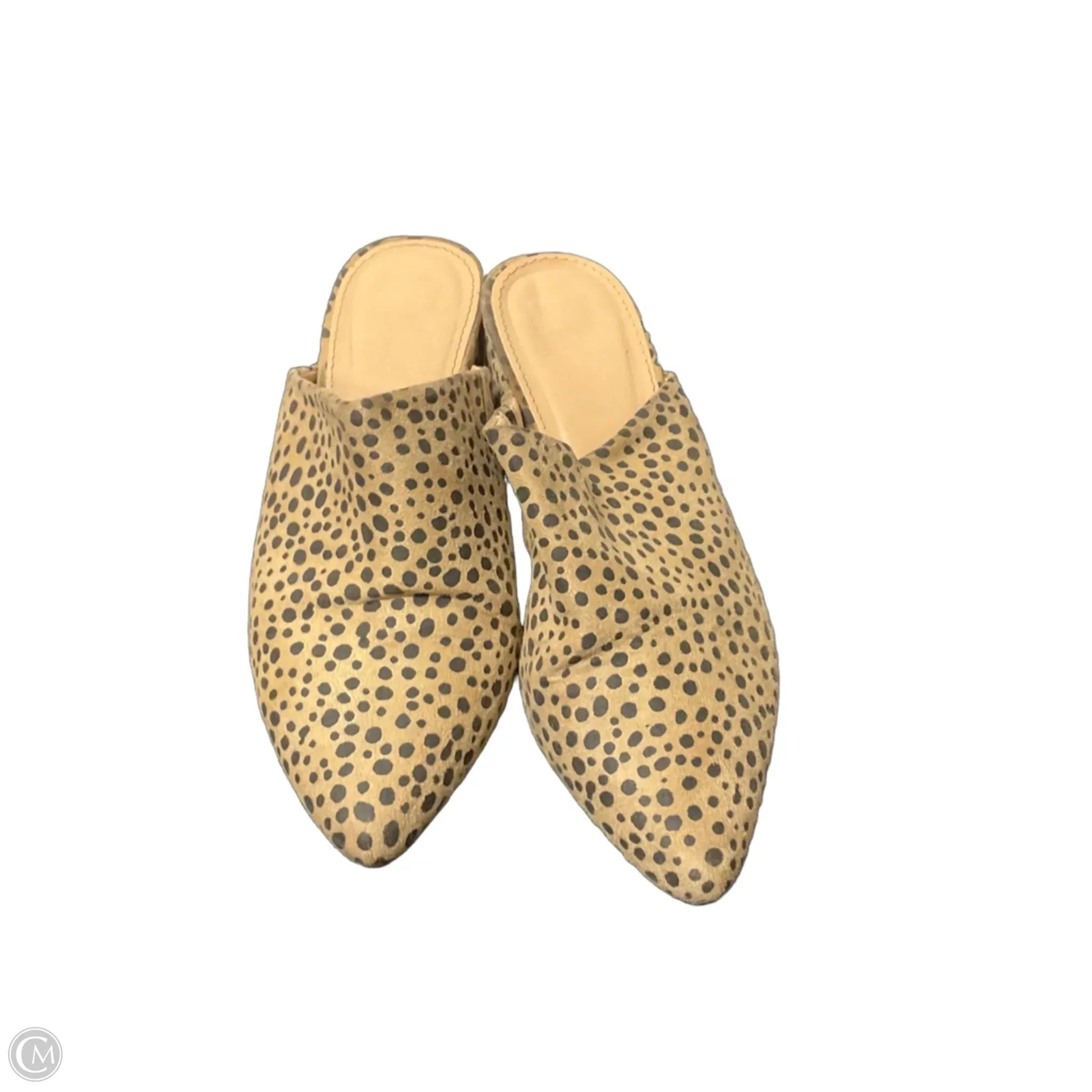 Shoes Heels Block By Clothes Mentor In Polkadot Pattern, Size: 6