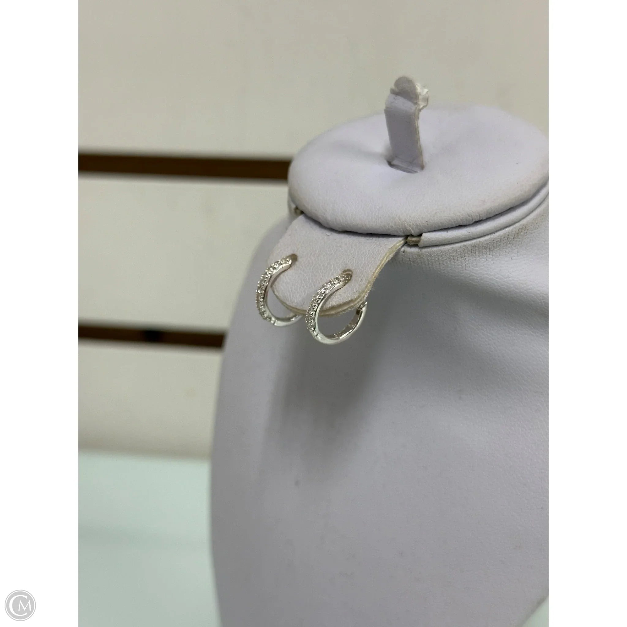 Earrings Hoop By Stella And Dot