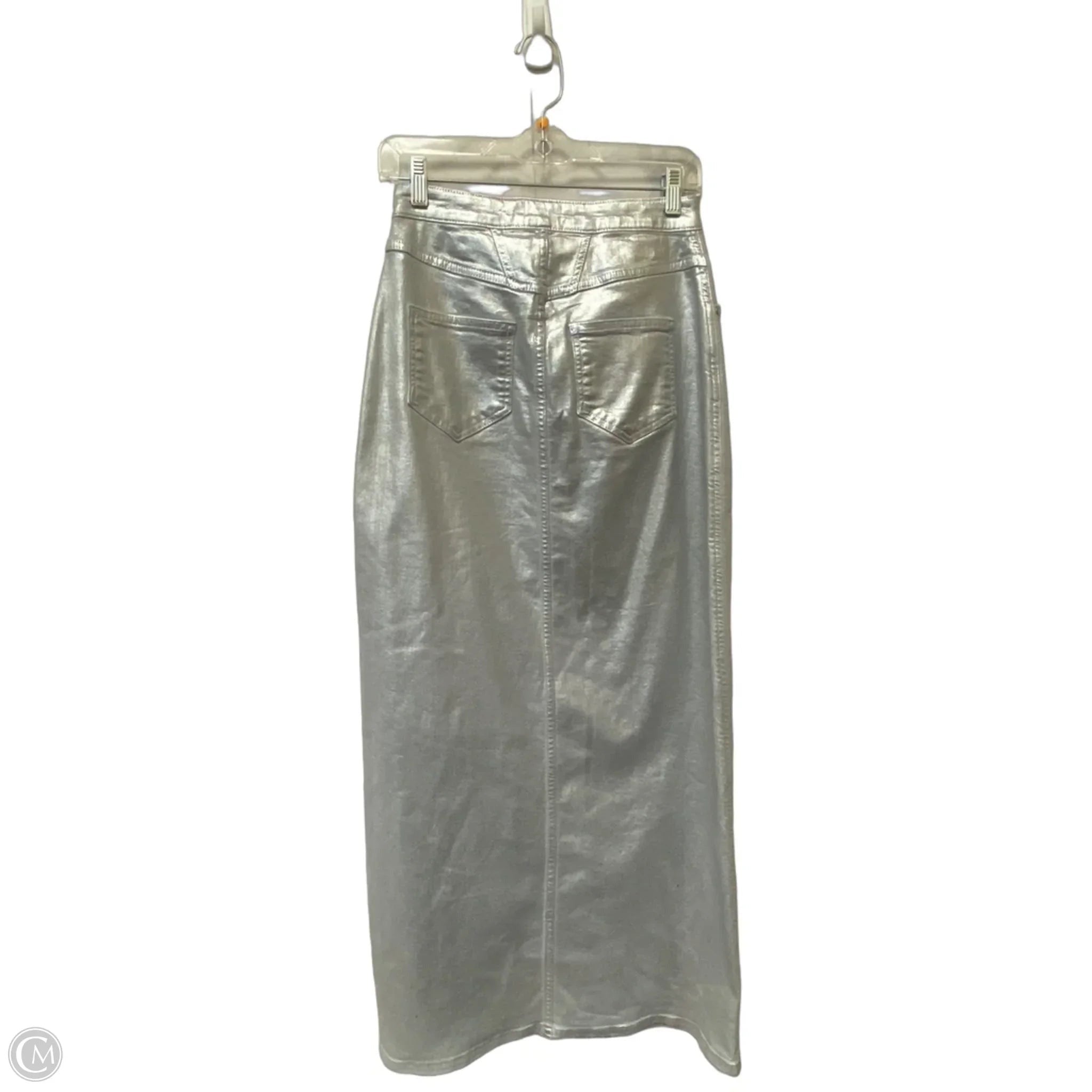 Skirt Maxi By Pilcro In Silver, Size: 2