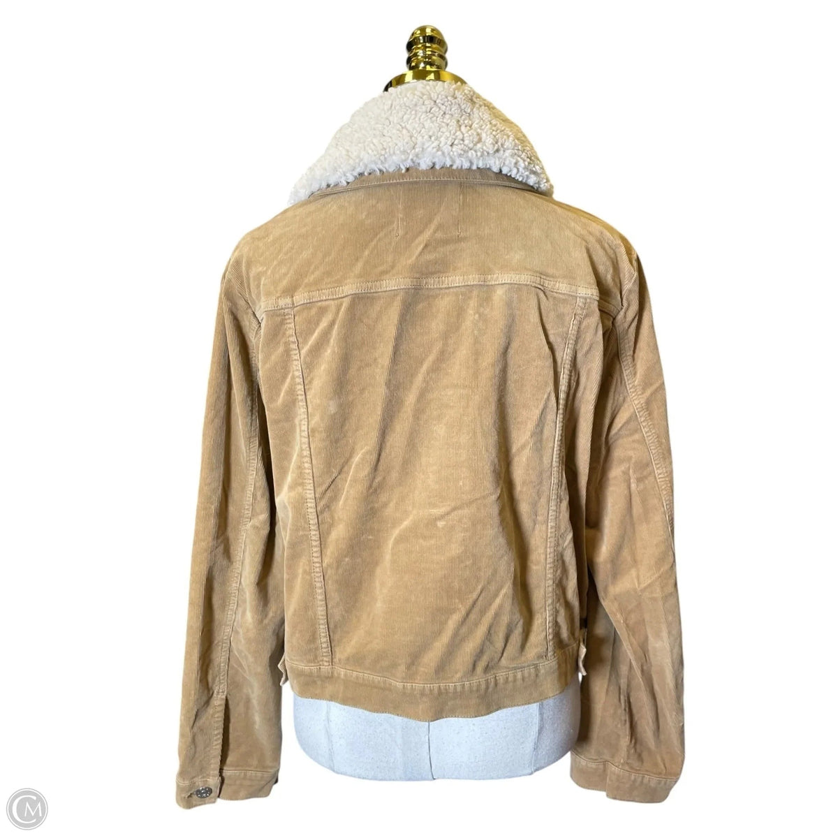 Jacket Other By Mng In Tan, Size: Xxl