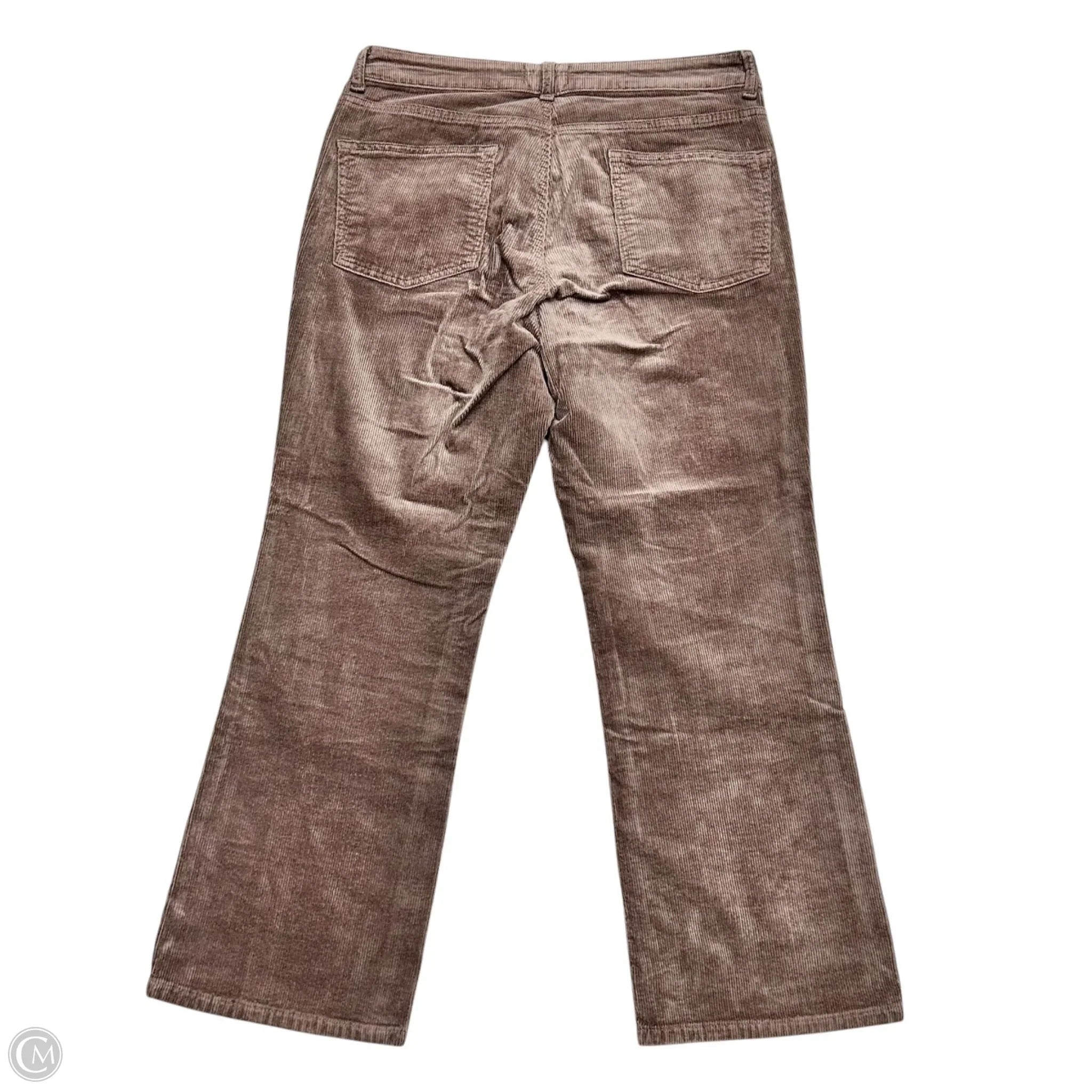 Pants Corduroy By Pilcro In Brown, Size: 12