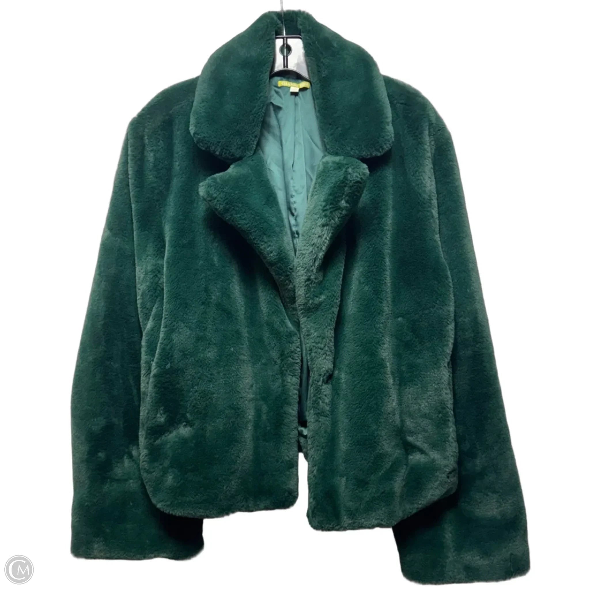 Jacket Faux Fur & Sherpa By Gianni Bini In Green, Size: L