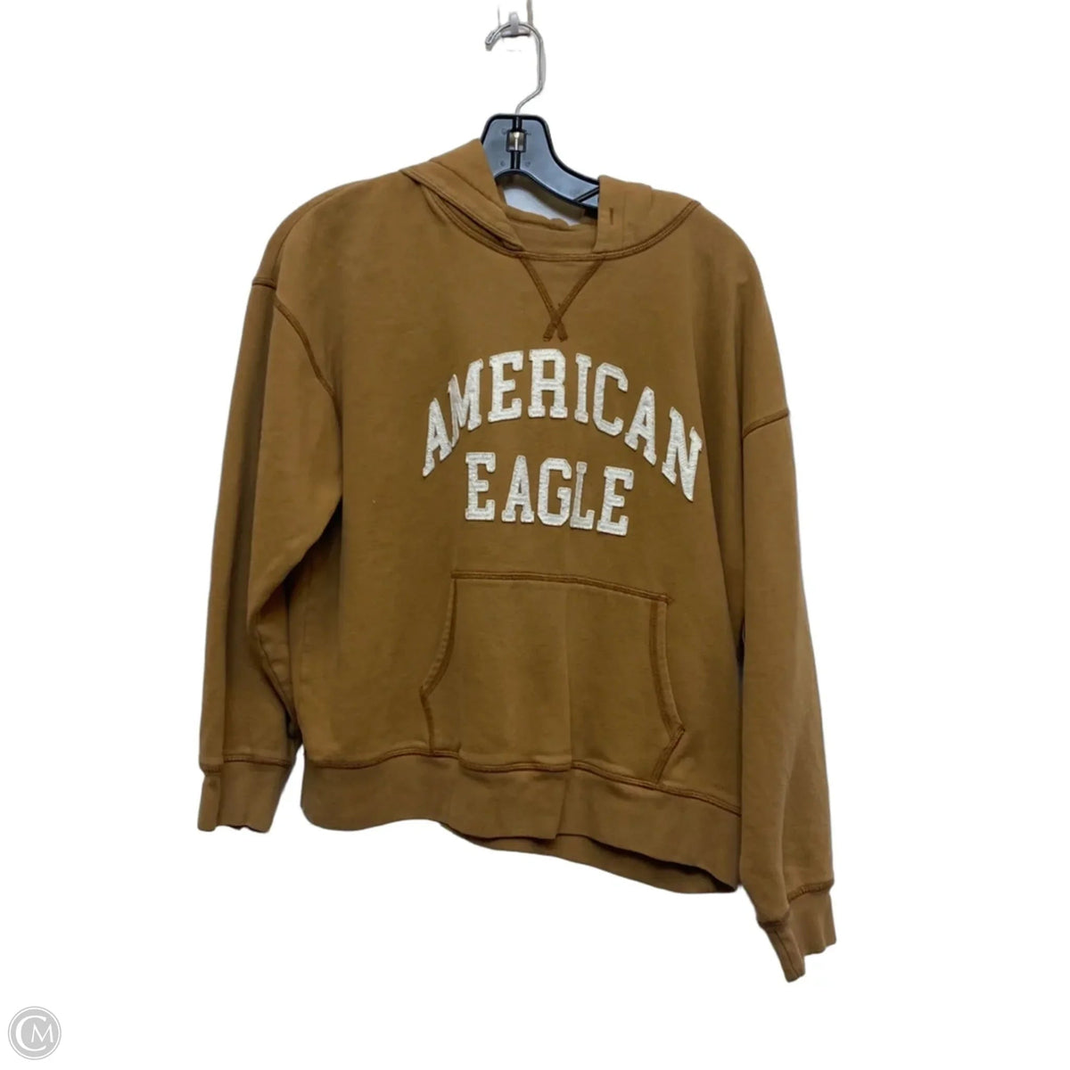 Sweatshirt Hoodie By American Eagle In Brown, Size: Xs