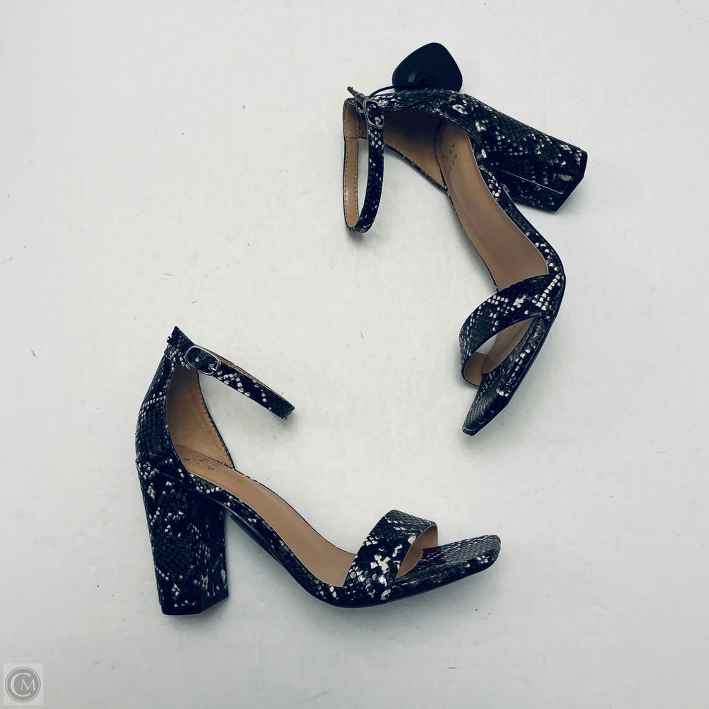 Shoes Heels Block By A New Day In Snakeskin Print, Size: 6.5