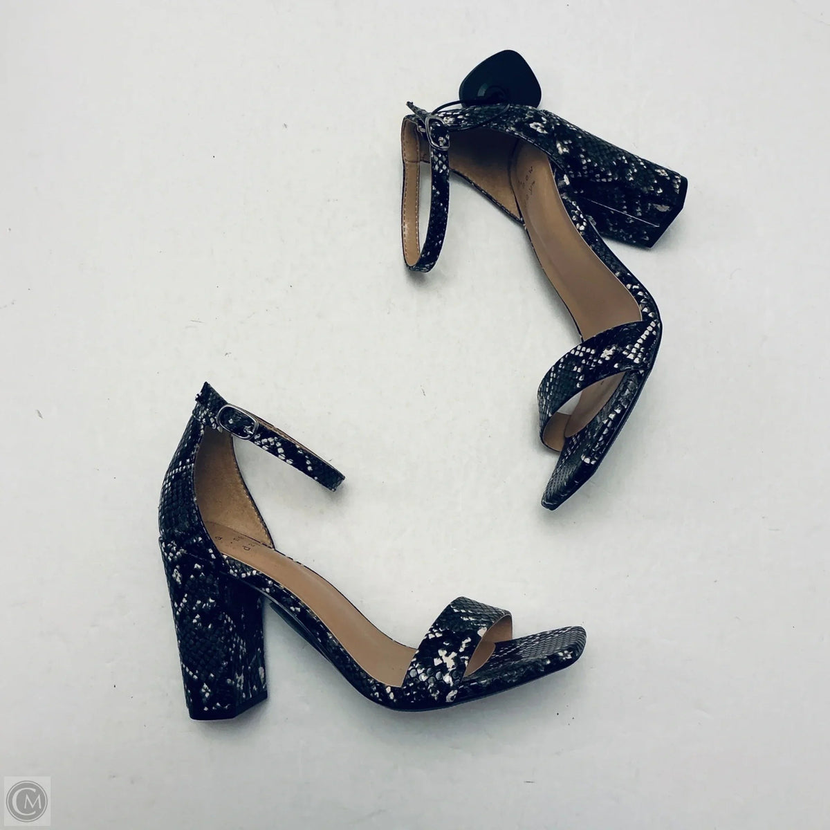 Shoes Heels Block By A New Day In Snakeskin Print, Size: 6.5