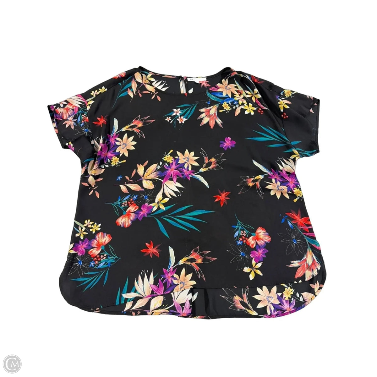 Top Short Sleeve By Dr2 In Floral Print, Size: Xxl