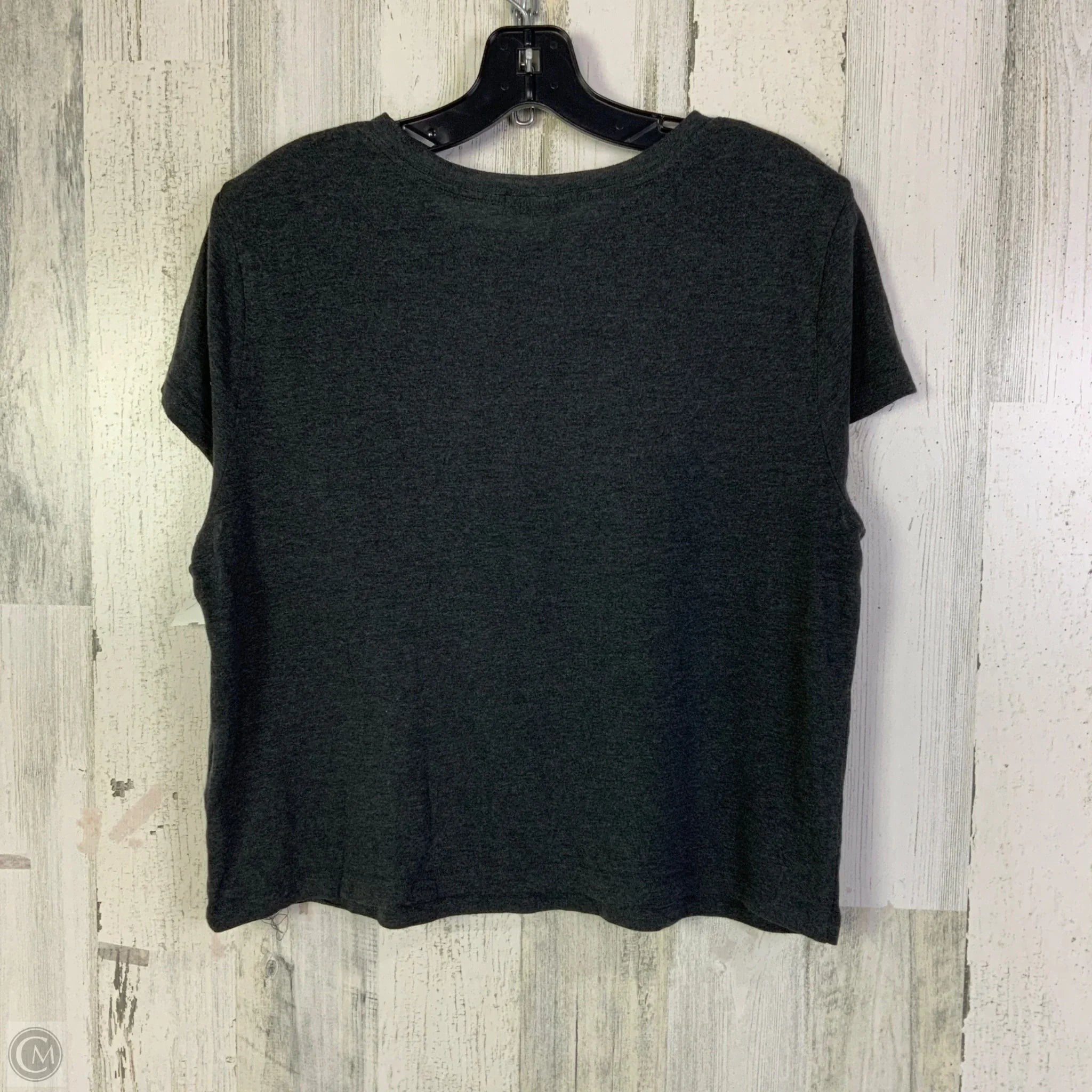Top Short Sleeve Designer By Agolde In Grey, Size: L