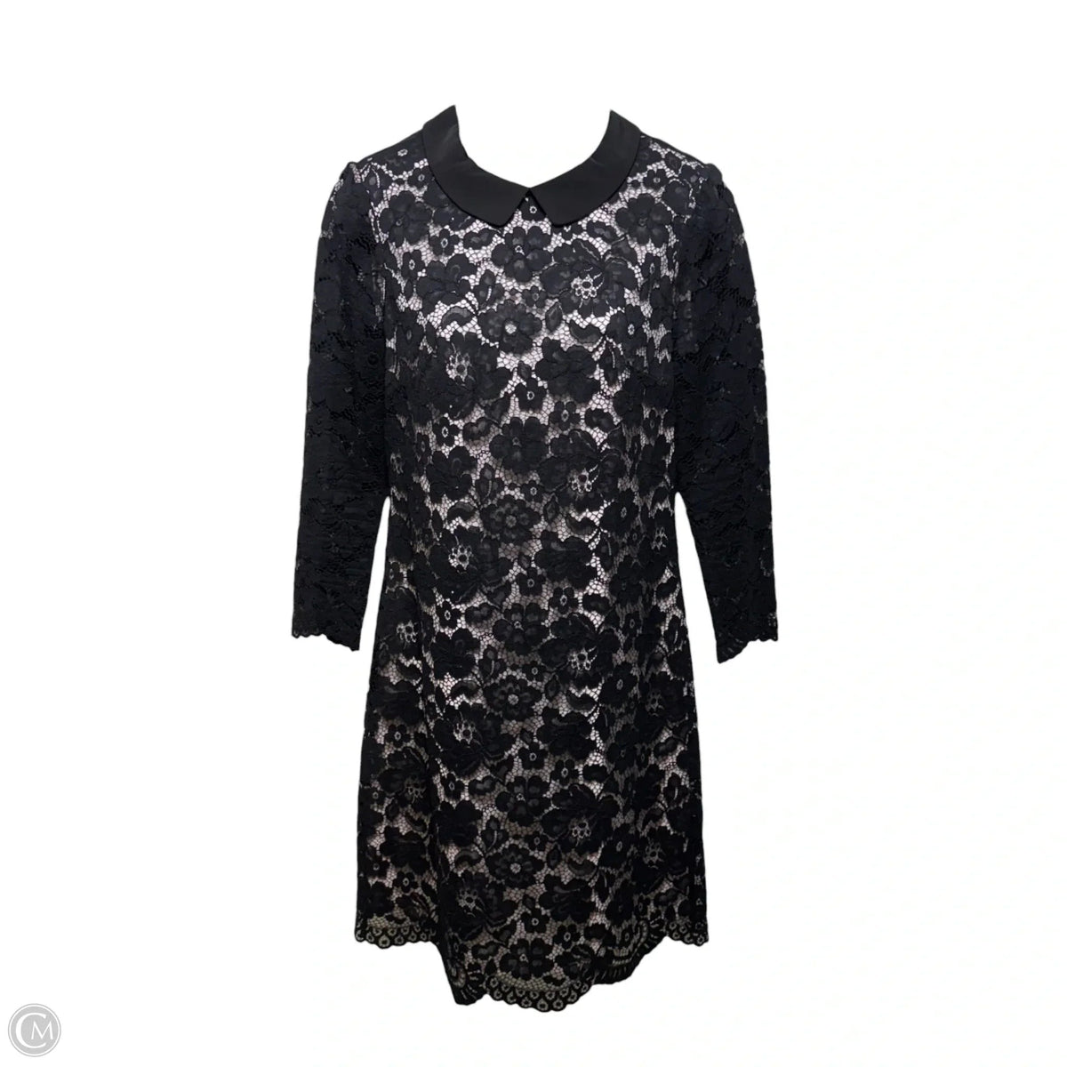 Ameera Scallop Hem Lace Dress By Ted Baker In Black & Pink, Size: 2