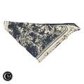 Scarf Winter By Pilcro In Blue & Cream