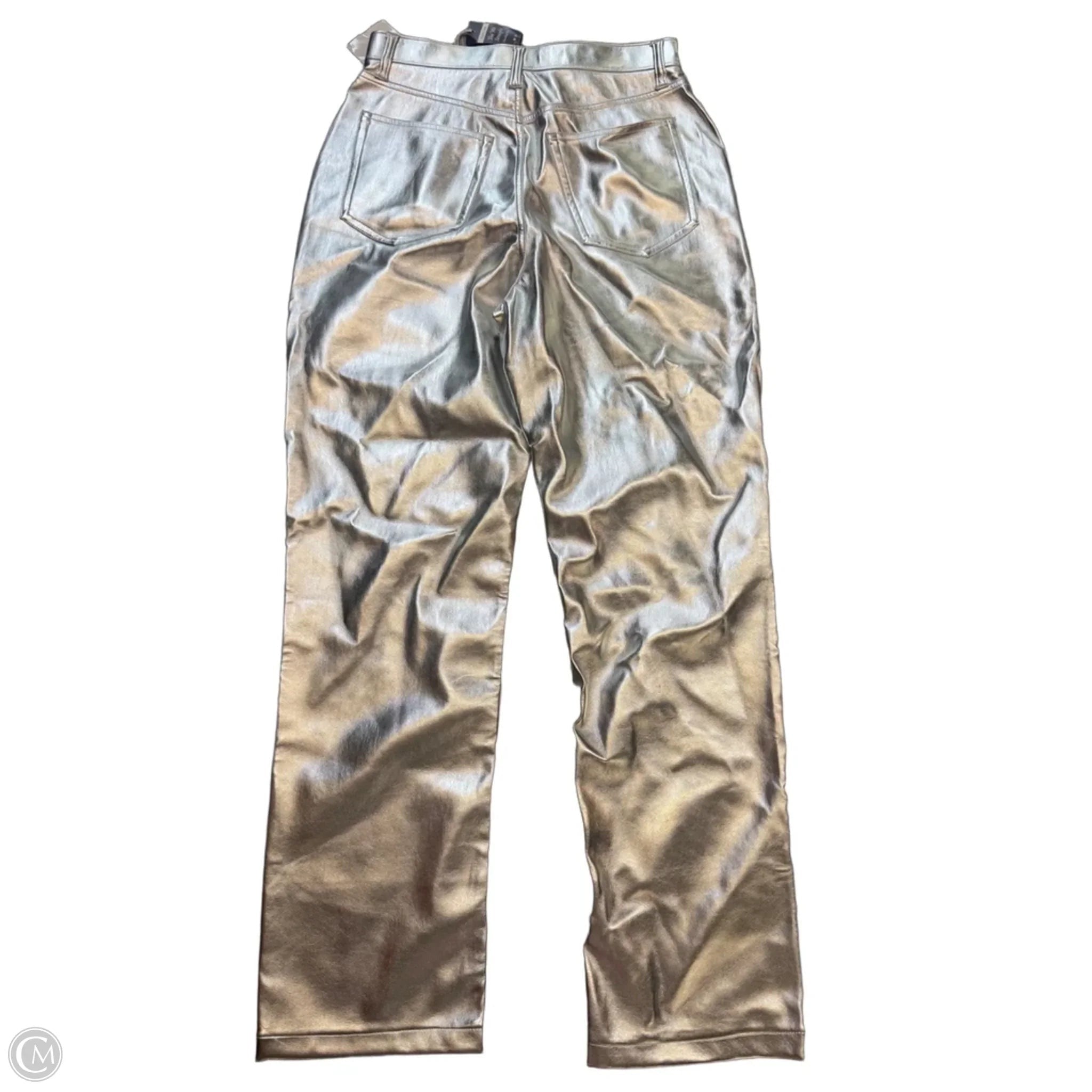 Pants Other By Abercrombie And Fitch In Silver, Size: 10