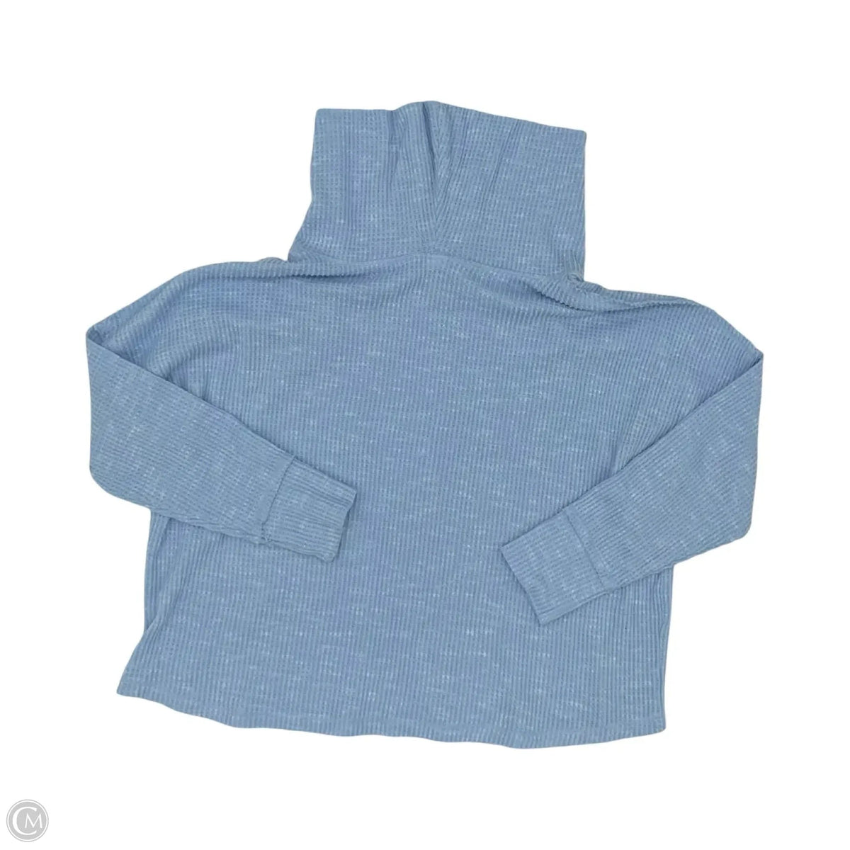 Top Long Sleeve By Te Verde In Blue, Size: 1x