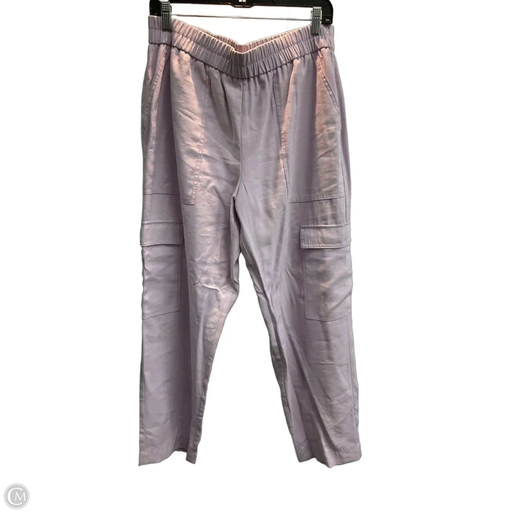 Pants Cargo & Utility By A New Day In Purple, Size: L