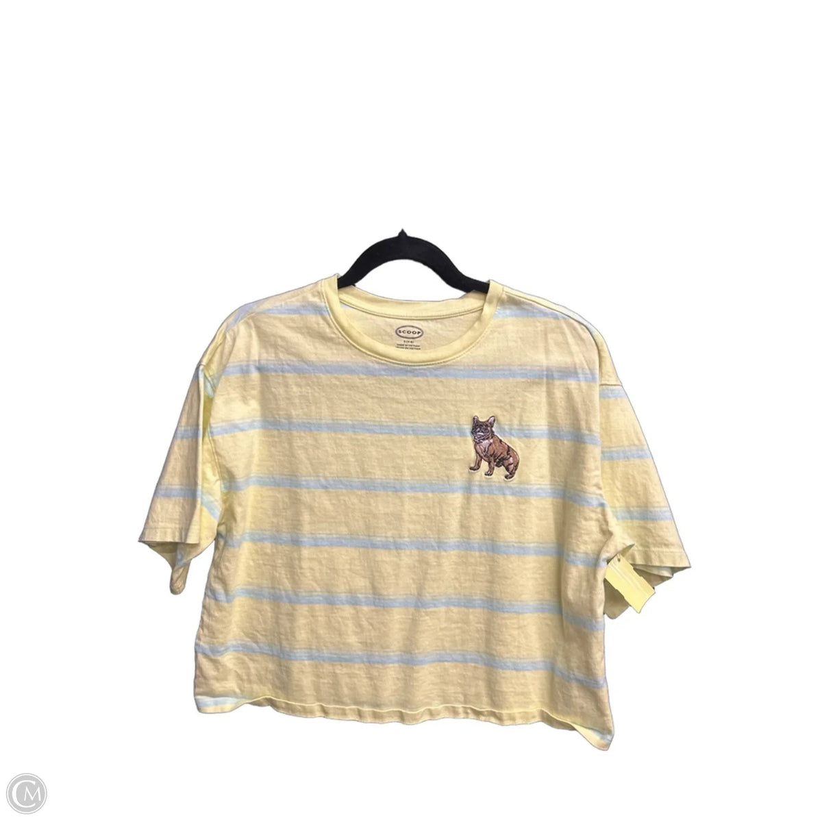 Top Short Sleeve By Scoop In Blue & Yellow, Size: S