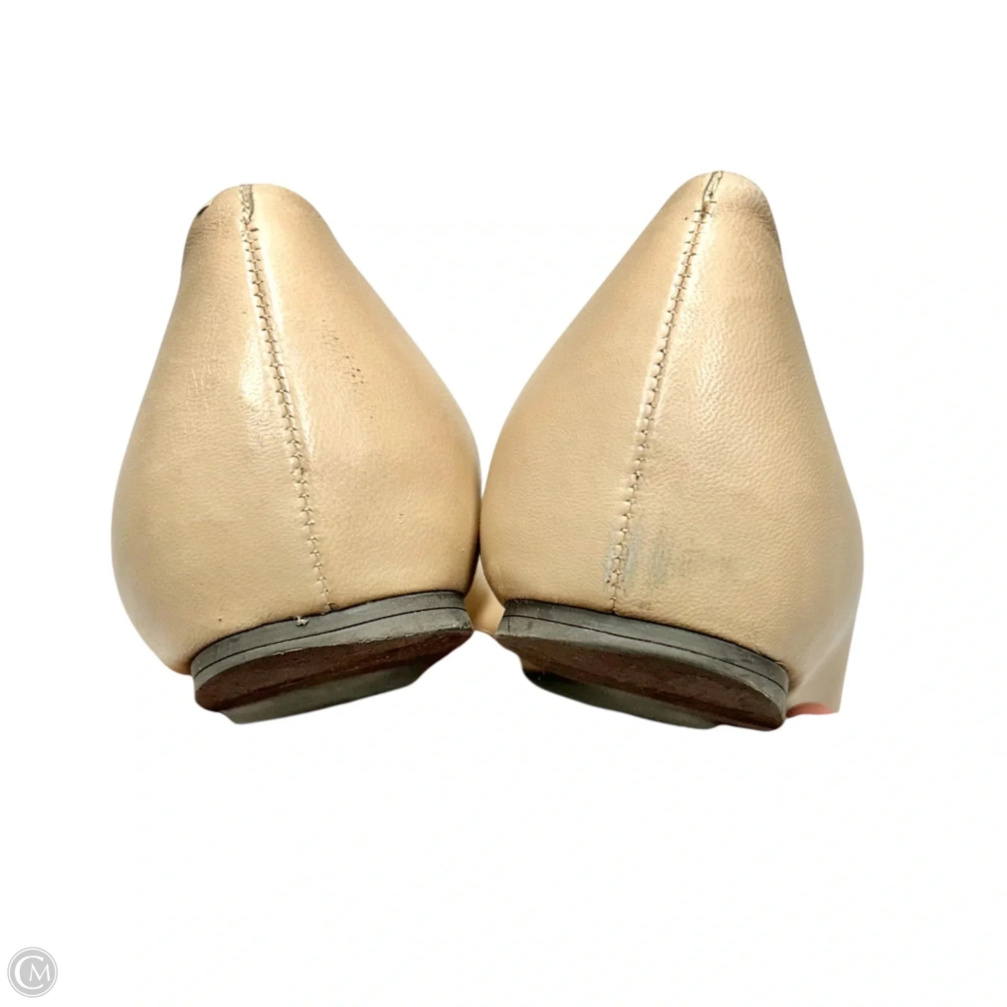 Shoes Designer By Tory Burch In Cream, Size: 7.5
