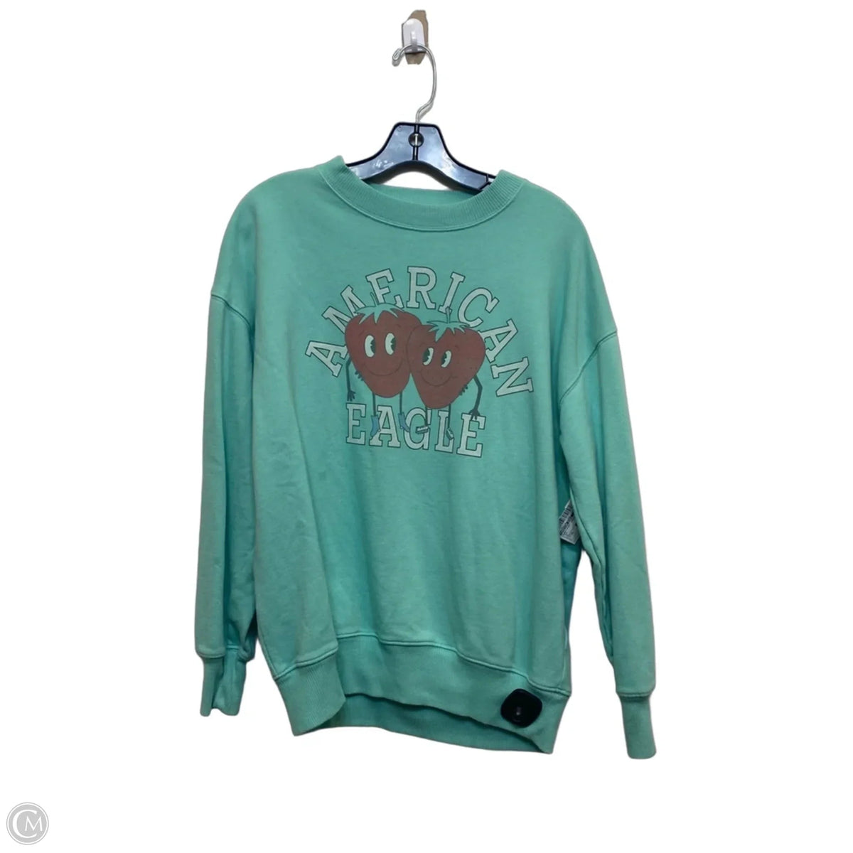 Sweatshirt Crewneck By American Eagle In Teal, Size: Xs