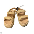 Sandals Flats By Steve Madden In Tan, Size: 9
