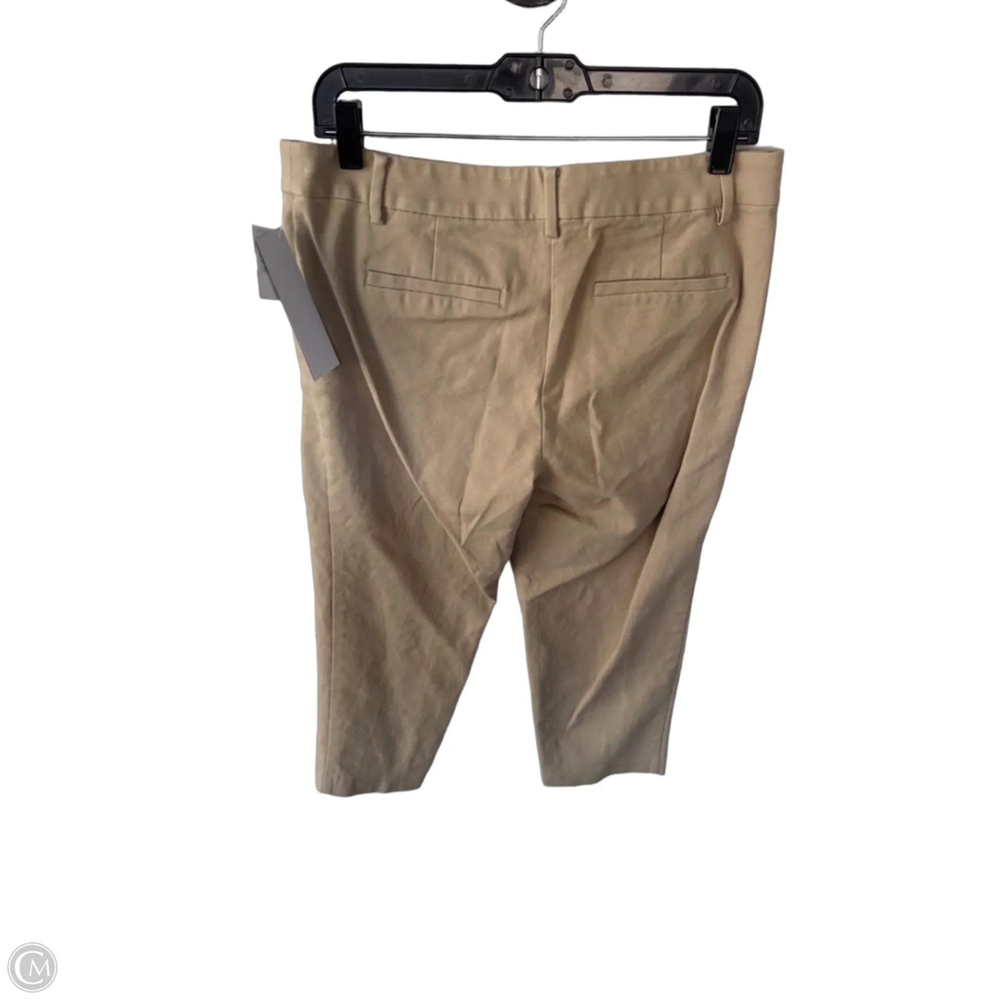 Pants Chinos & Khakis By Loft In Tan, Size: 8p