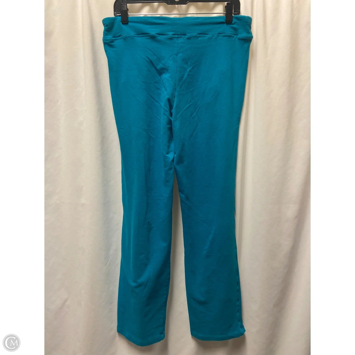 Athletic Pants 2pc By Danskin Now In Teal, Size: L