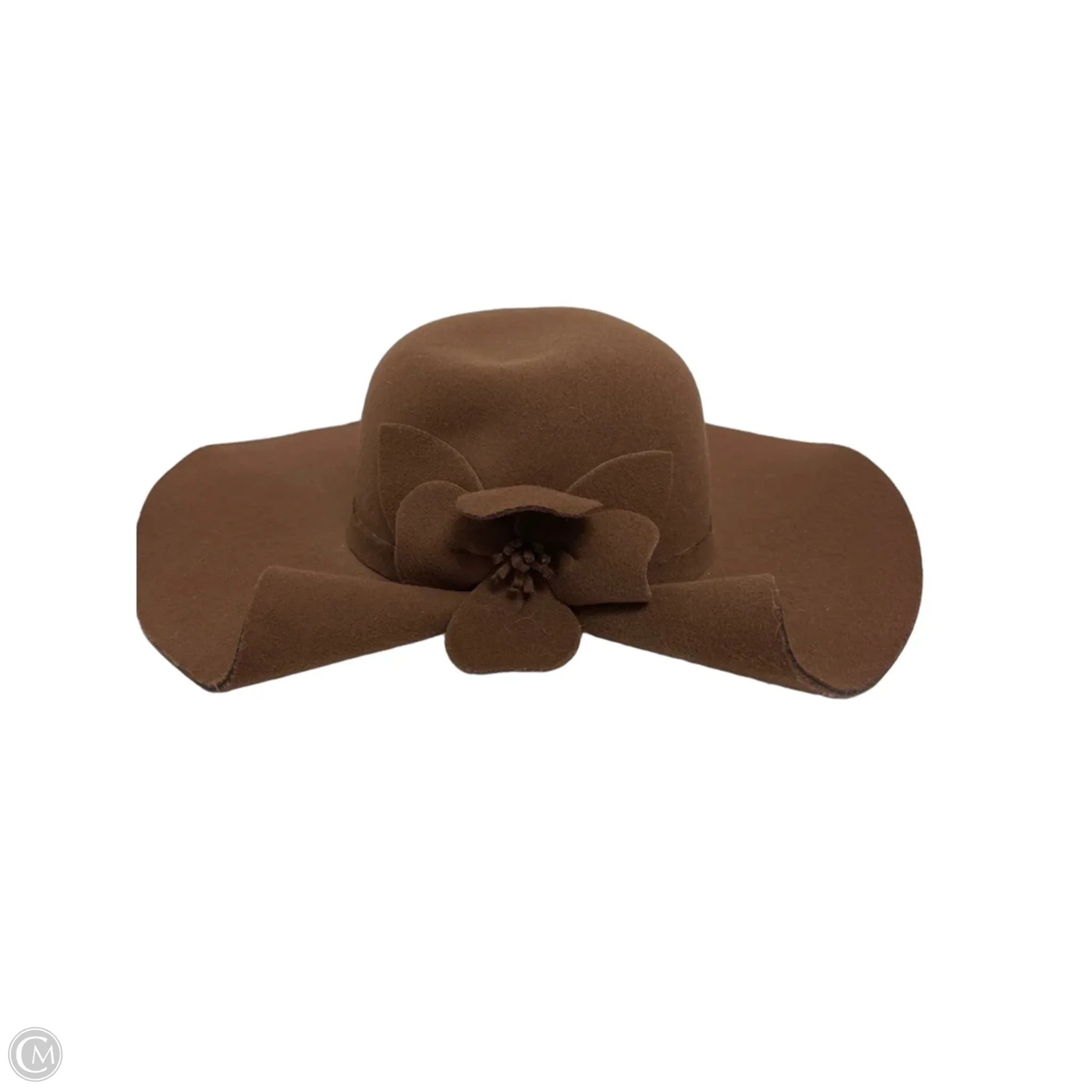 Hat Other By Clothes Mentor