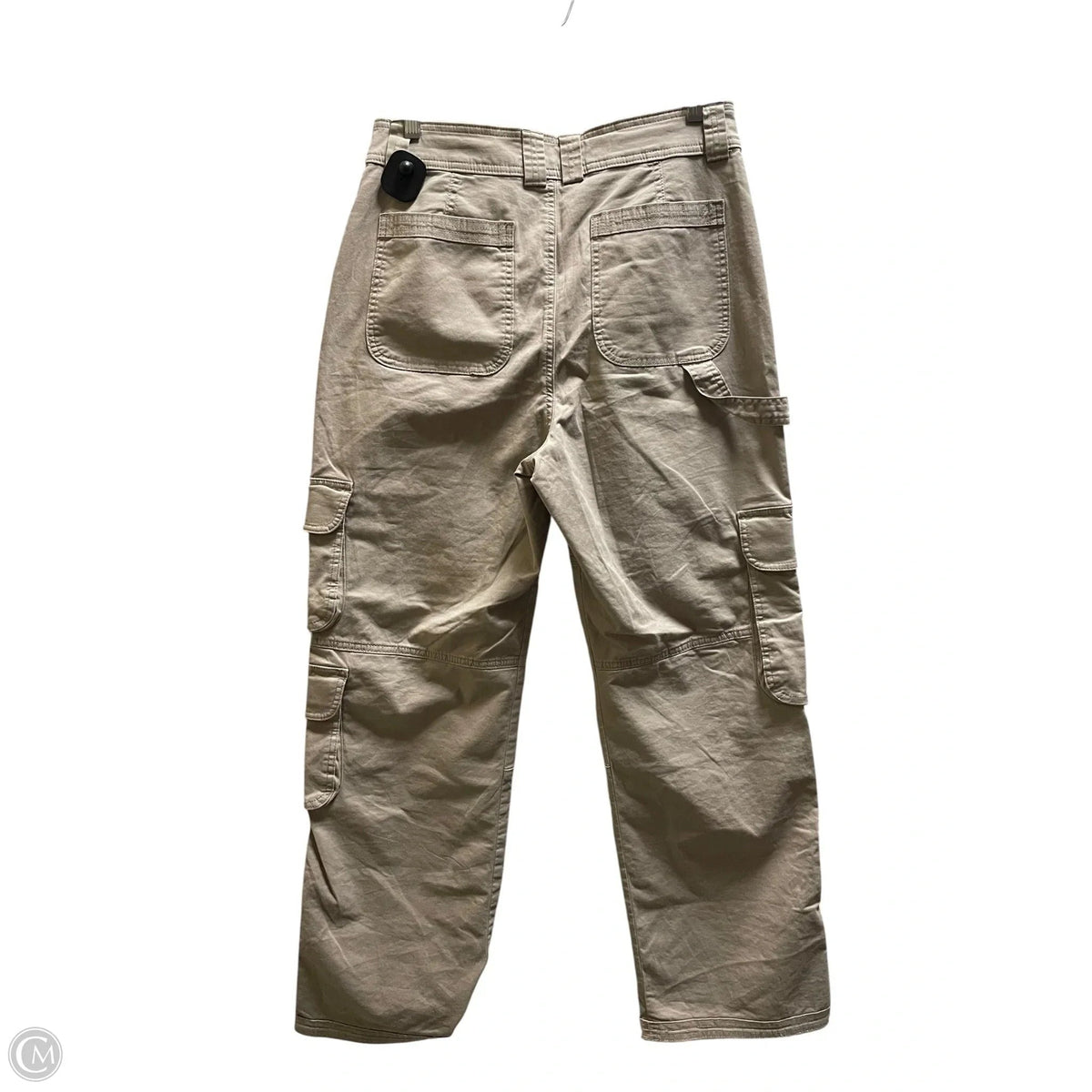 Pants Cargo & Utility By Abercrombie And Fitch In Brown, Size: 10