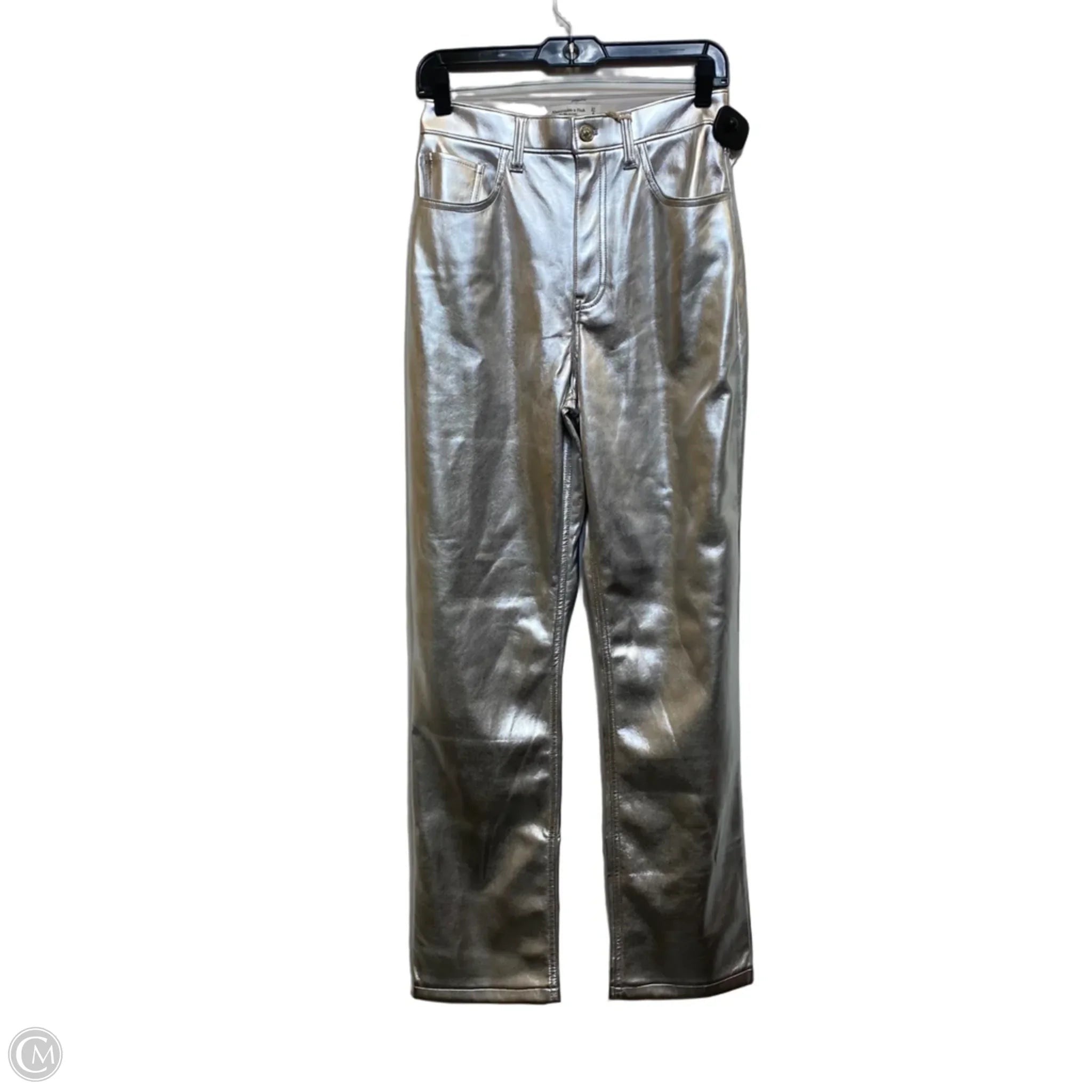 Pants Other By Abercrombie And Fitch In Silver, Size: 4