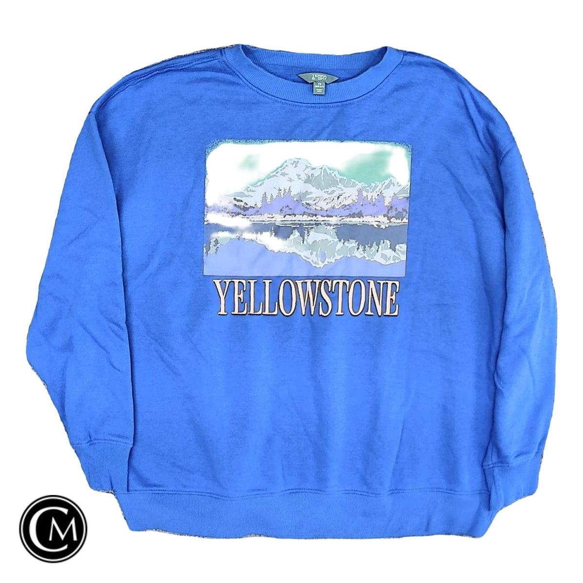 Sweatshirt Crewneck By Terra & Sky In Blue, Size: 2x