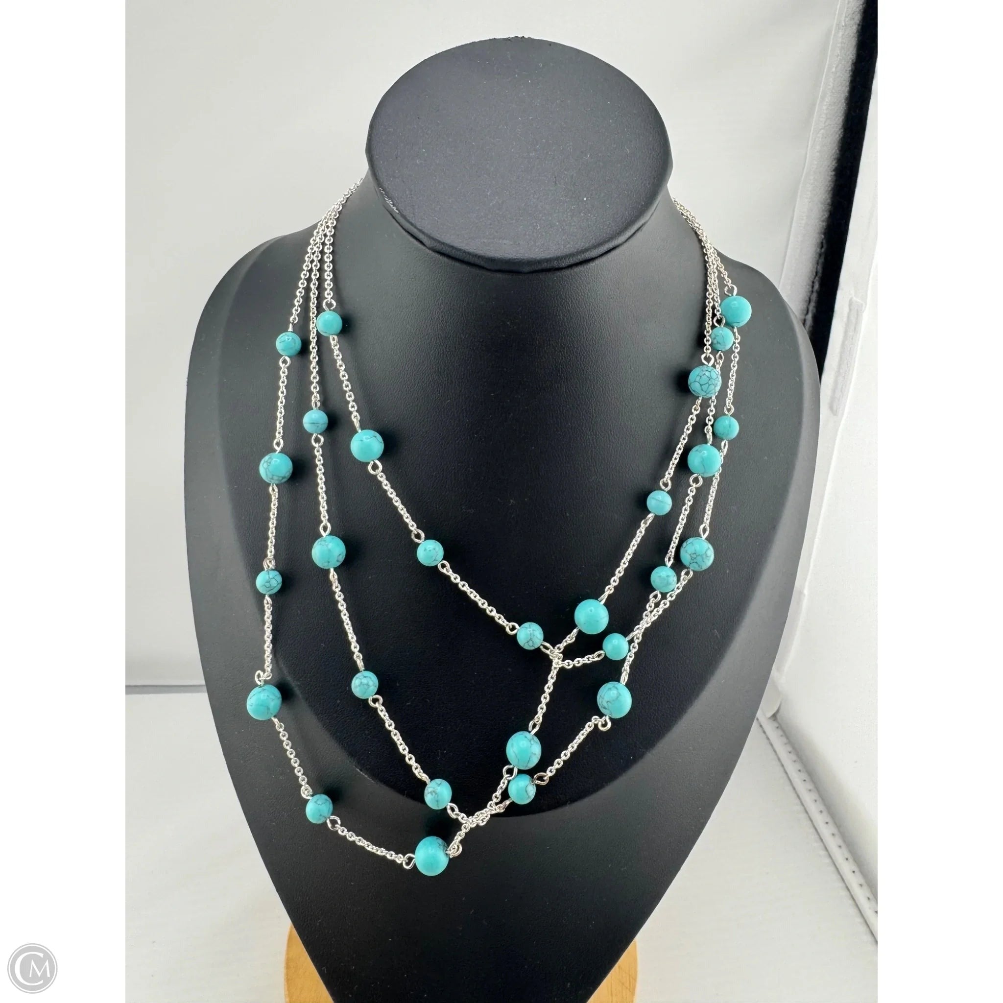 Necklace Layered By Clothes Mentor