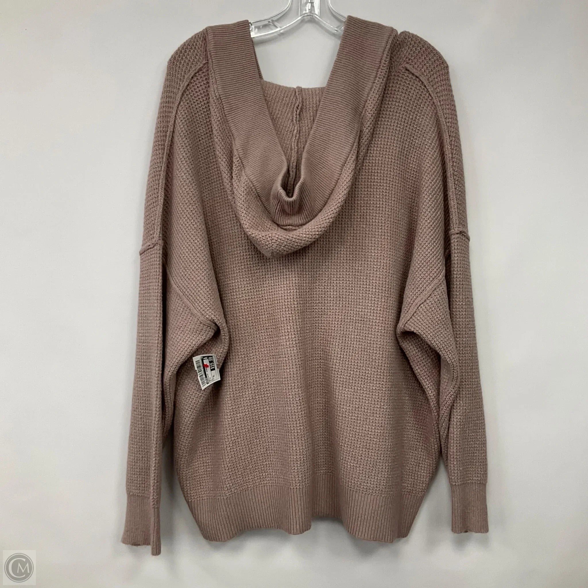 Sweatshirt Hoodie By Aerie In Beige, Size: Xl