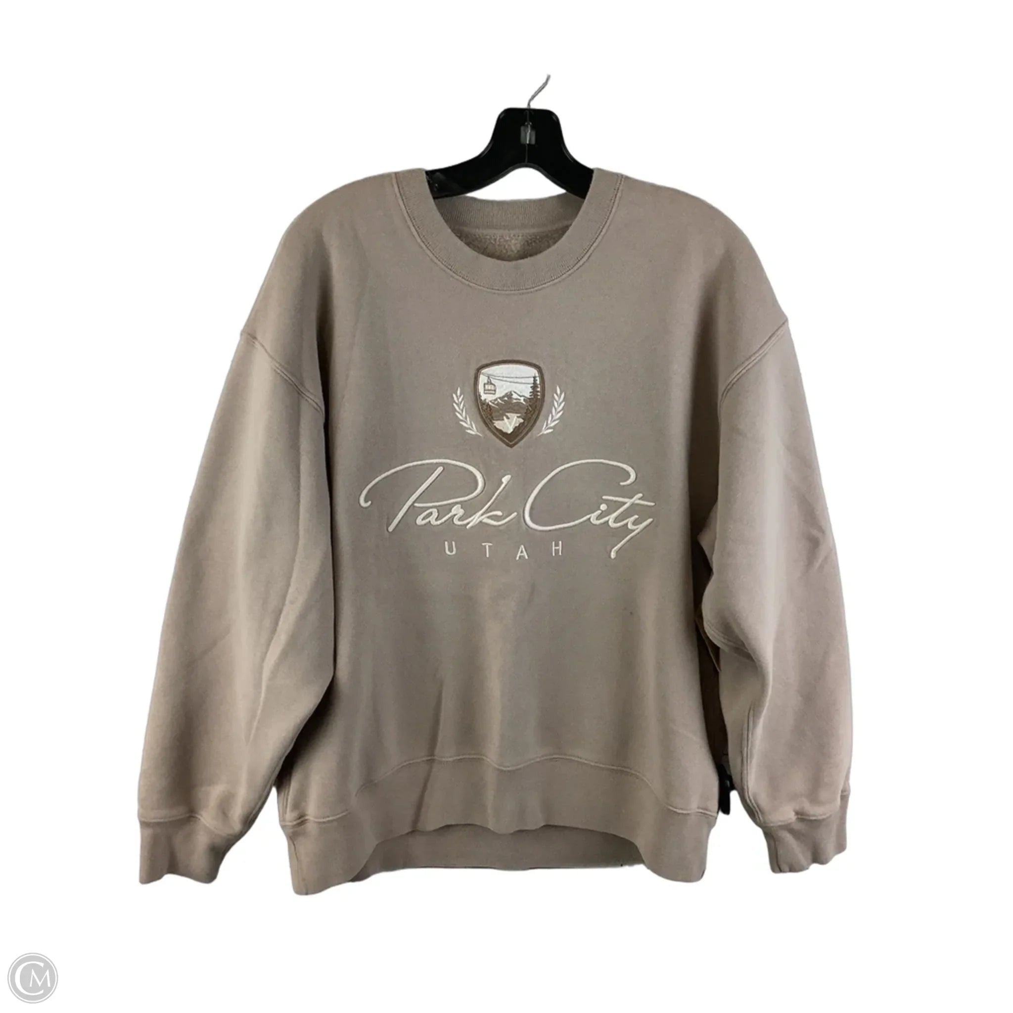 Sweatshirt Crewneck By Abercrombie And Fitch In Brown, Size: M