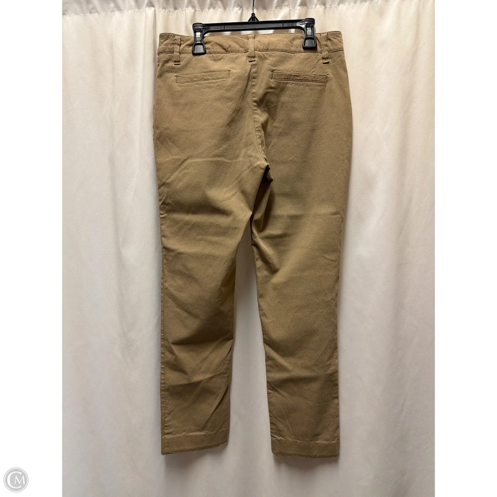 Pants Other By New Directions In Brown, Size: 6