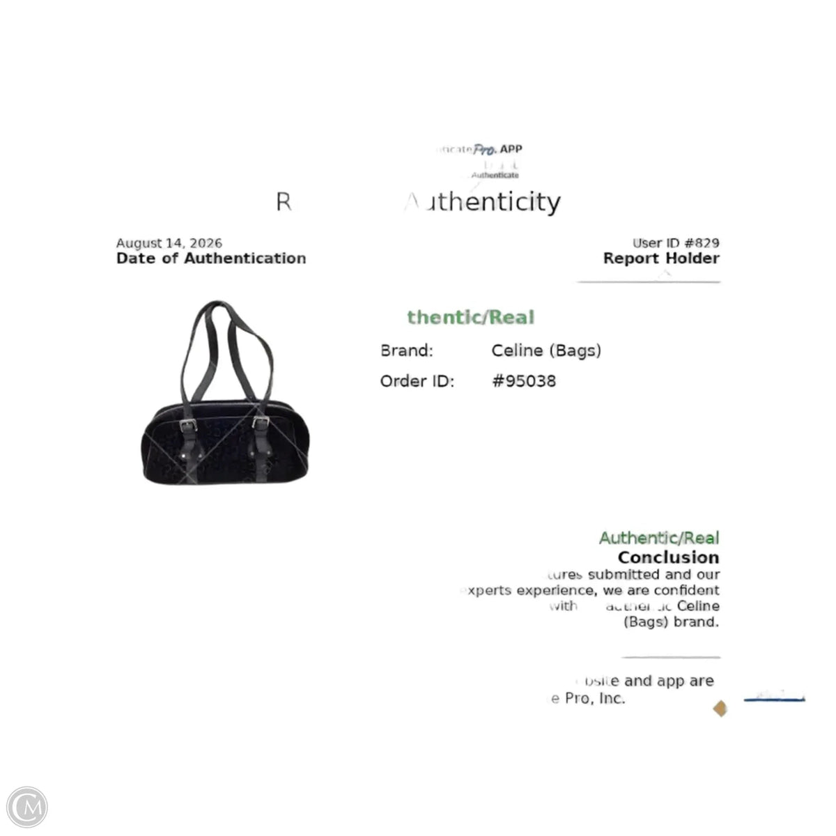 Handbag Luxury Designer By Celine, Size: Small