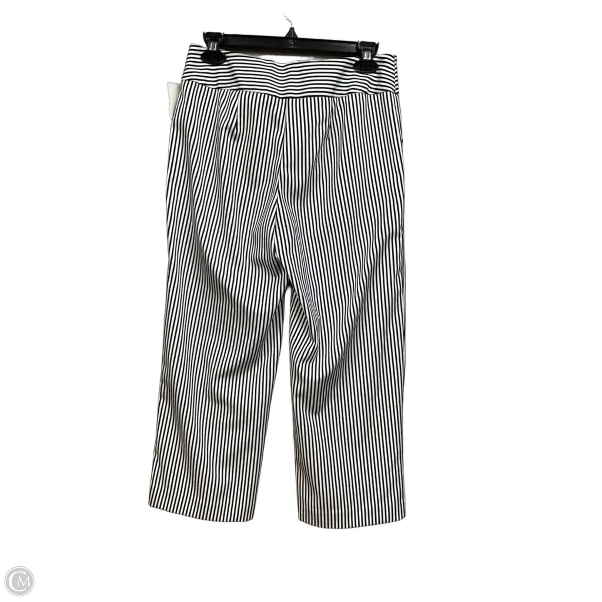 Pants Other By Chicos In Striped Pattern, Size: 2