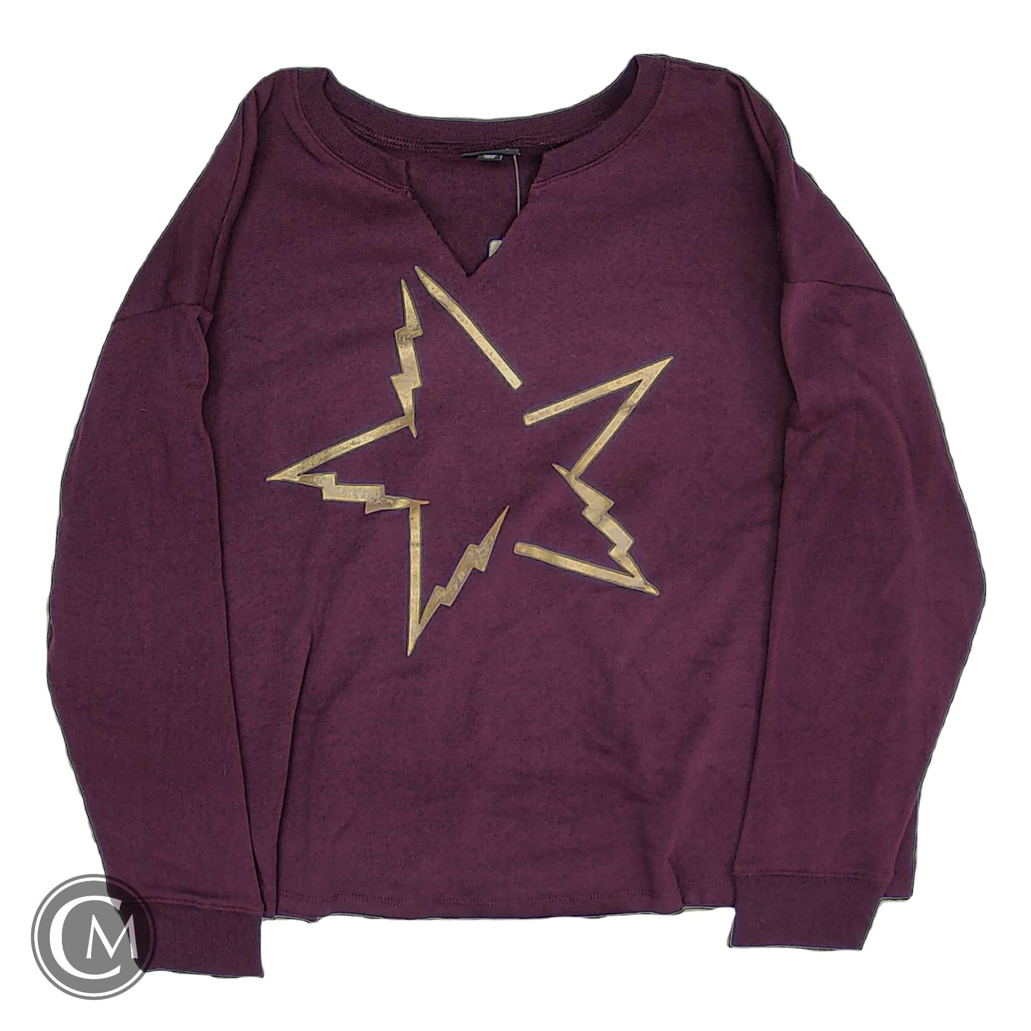 Sweatshirt Crewneck By Torrid In Purple, Size: 3x