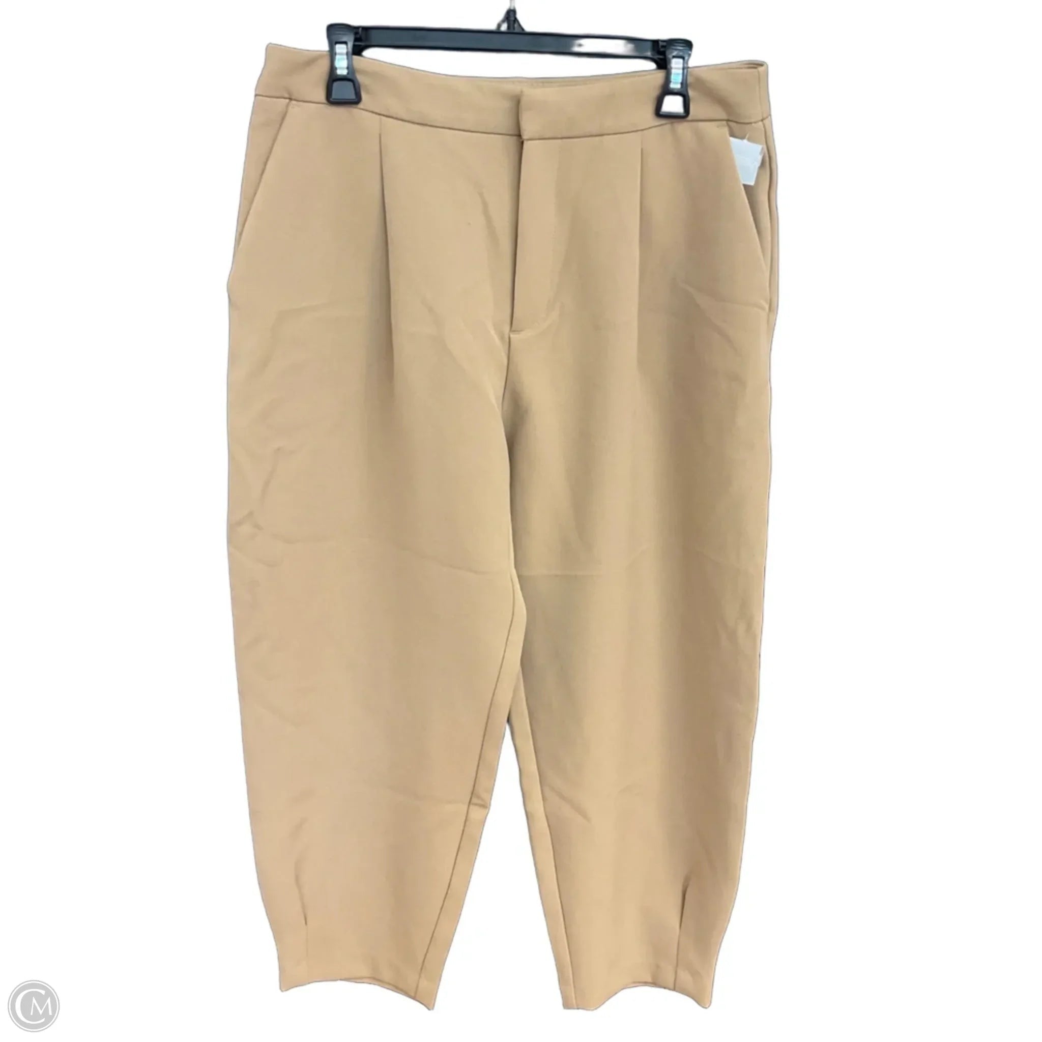 Pants Other By Zara Basic In Tan, Size: L