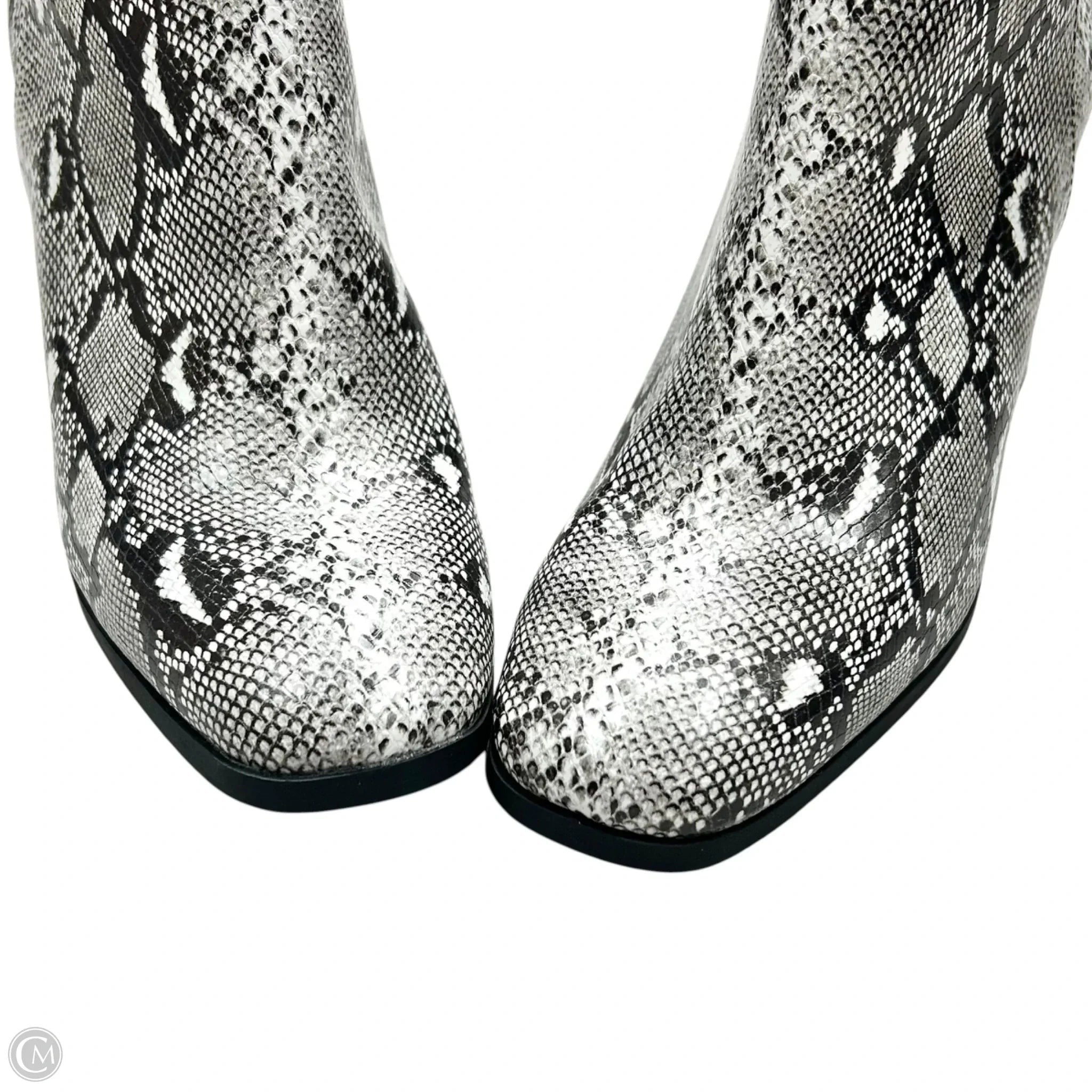 Boots Ankle Heels By Madden Girl In Snakeskin Print, Size: 8.5