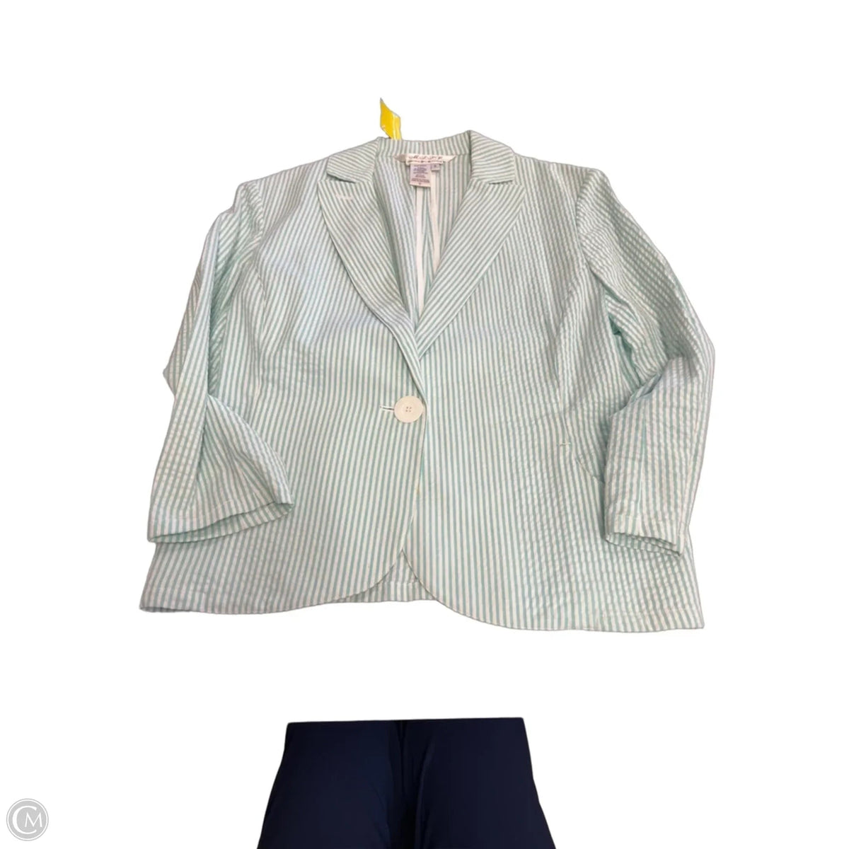 Blazer By Max Studio In Striped Pattern, Size: 6