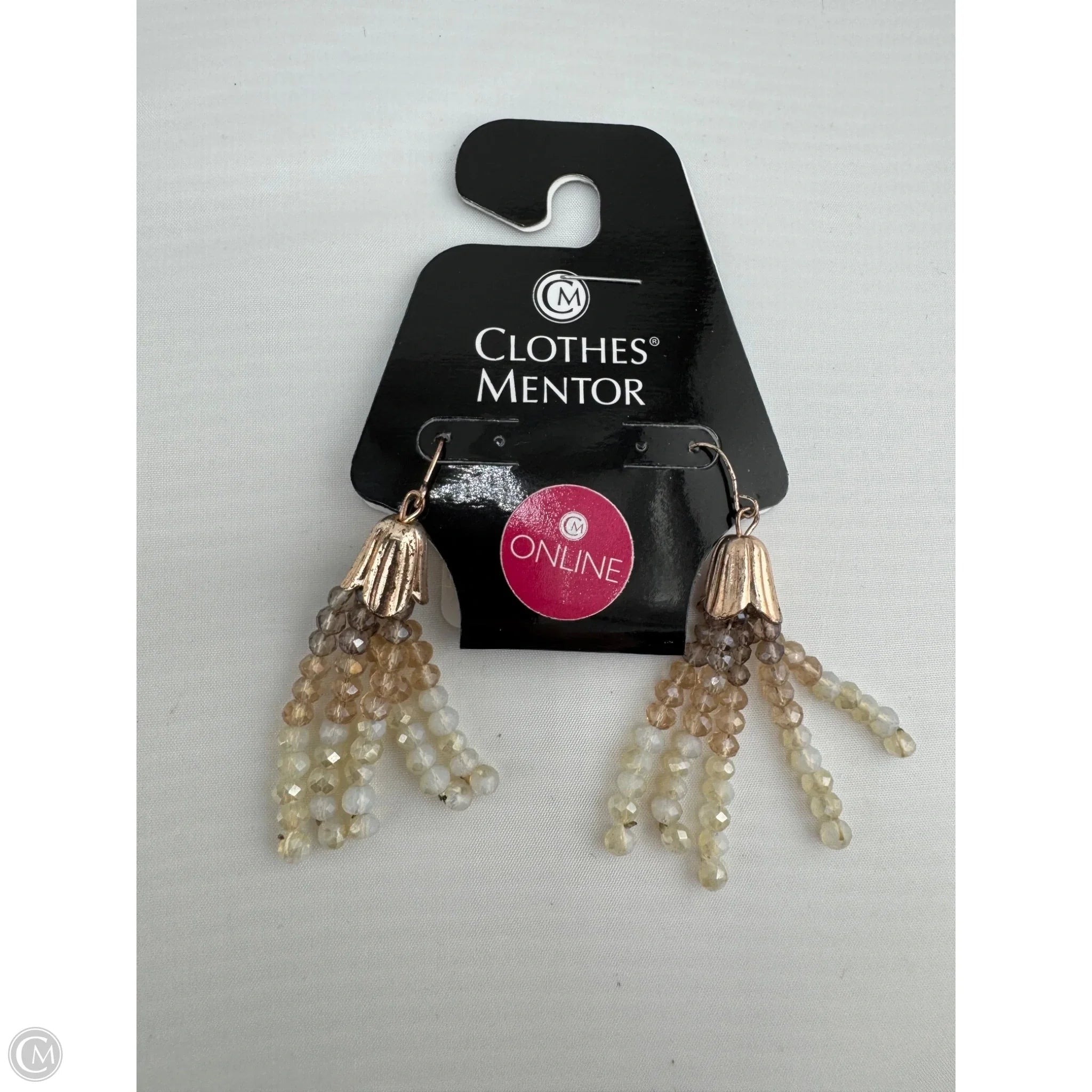 Earrings Dangle/drop By Clothes Mentor