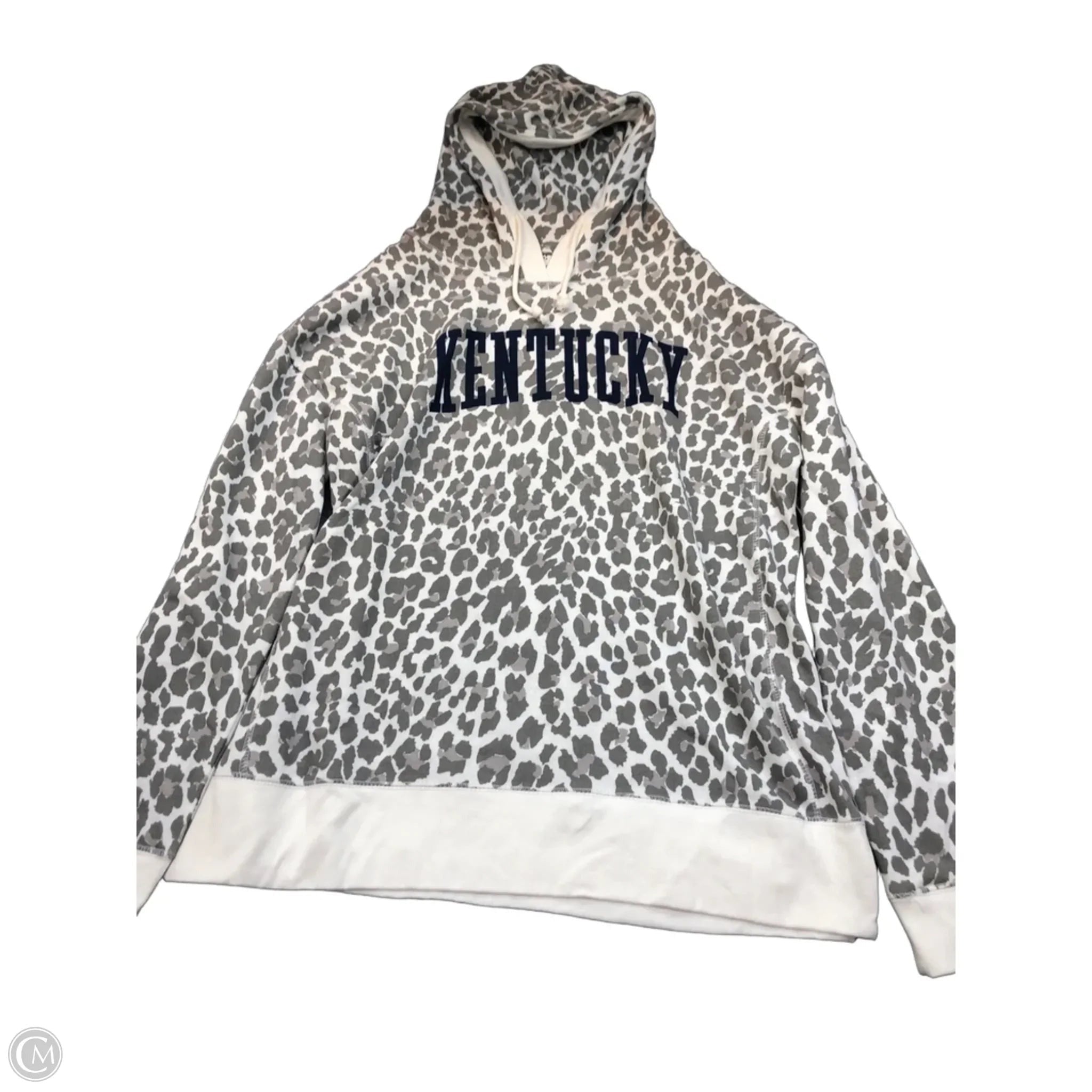 Sweatshirt Hoodie By Clothes Mentor In Leopard Print, Size: 2x