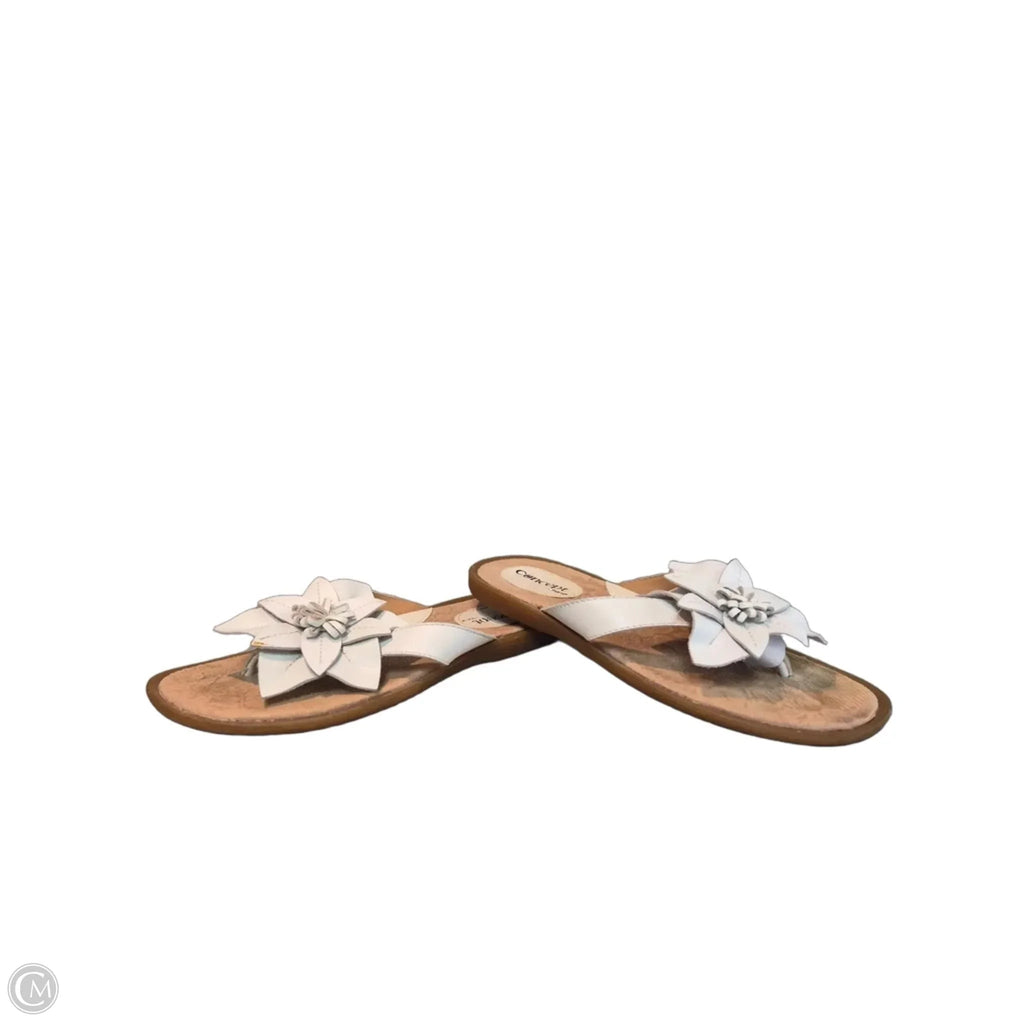 Sandals Flip Flops By Born In Brown & White, Size: 6