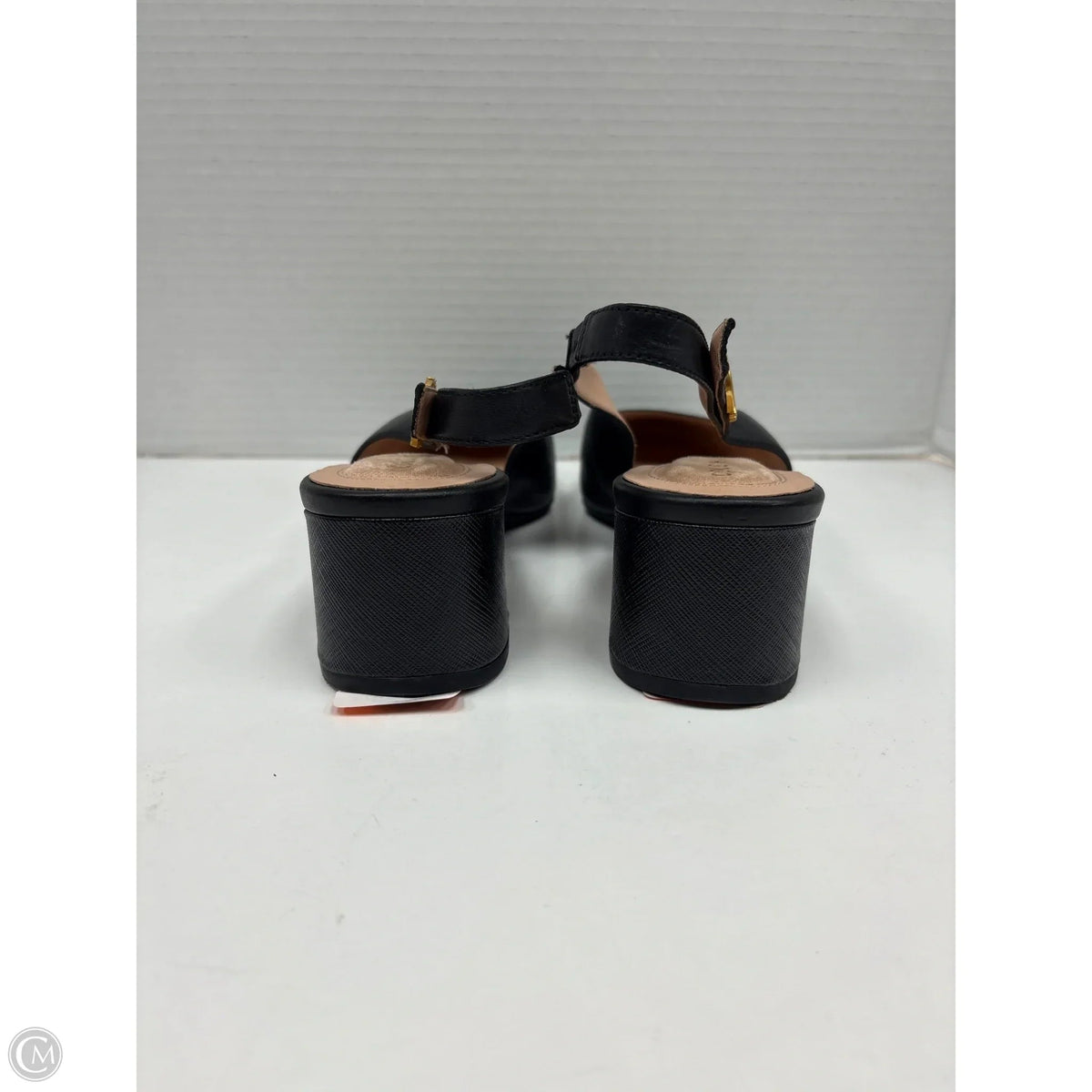 Shoes Heels Block By Cole-haan In Black, Size: 8