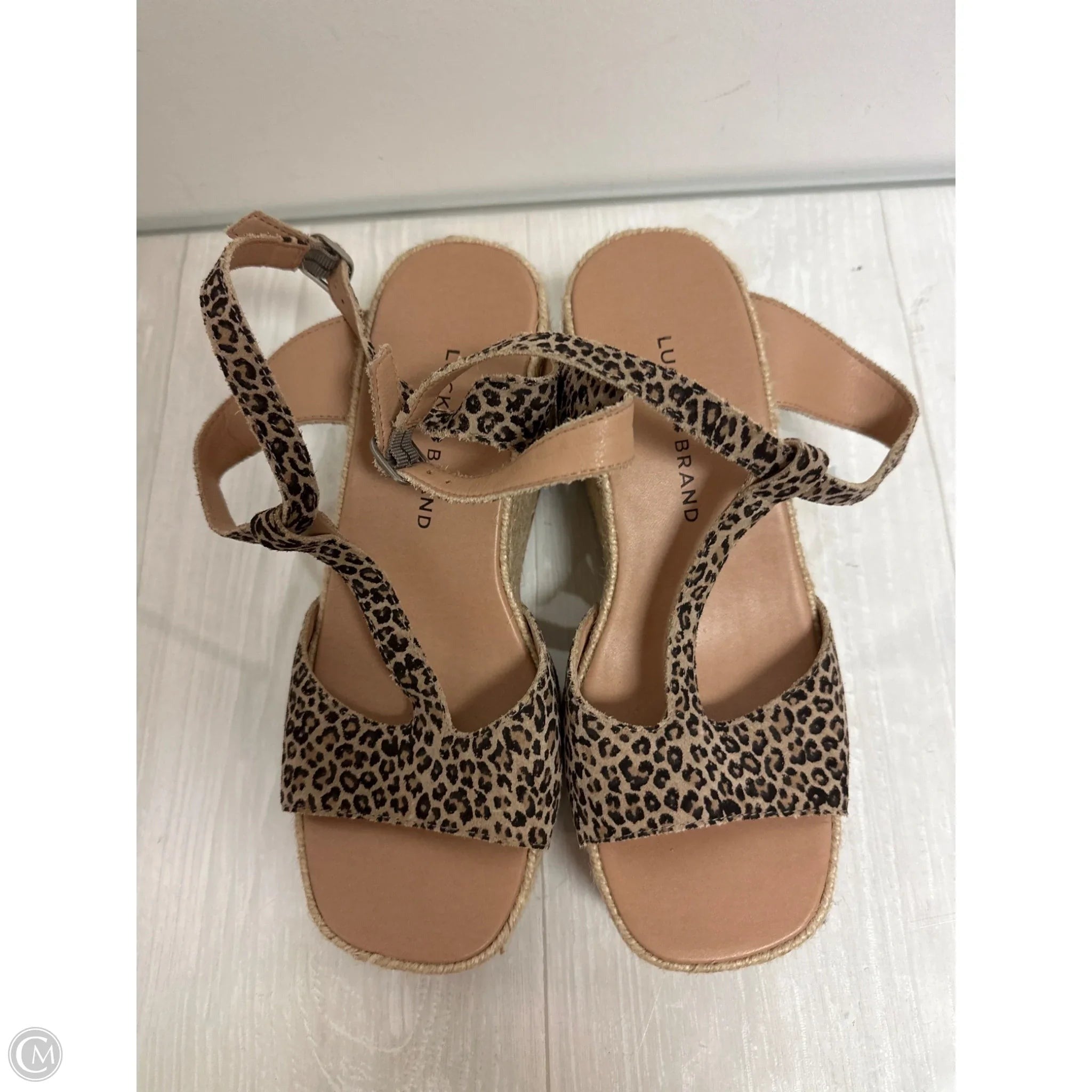 Sandals Heels Wedge By Lucky Brand In Leopard Print, Size: 8