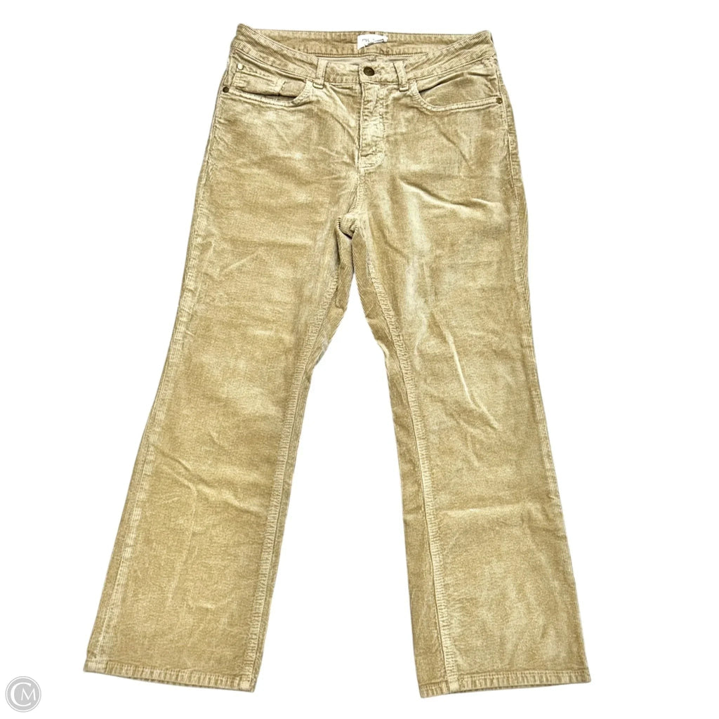 Pants Corduroy By Pilcro In Tan, Size: 12