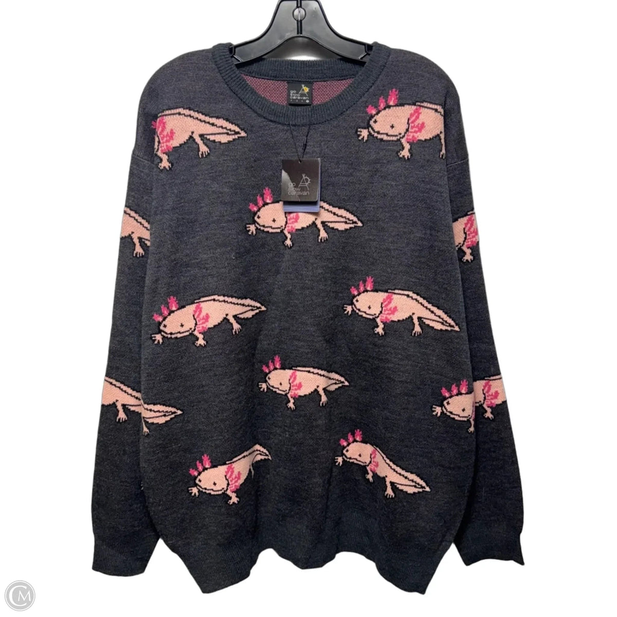 Axolotl Sweater By Go Slow Caravan In Animal Print, Size: Xl