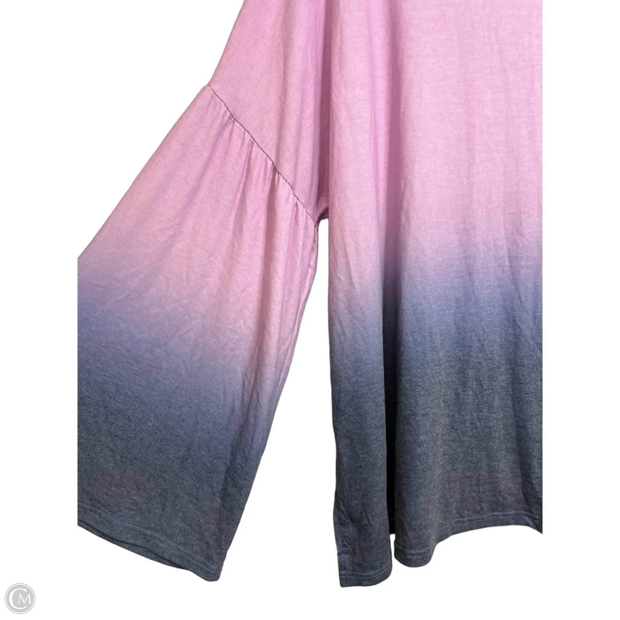 Top Long Sleeve By Suzanne Betro In Purple, Size: 3x