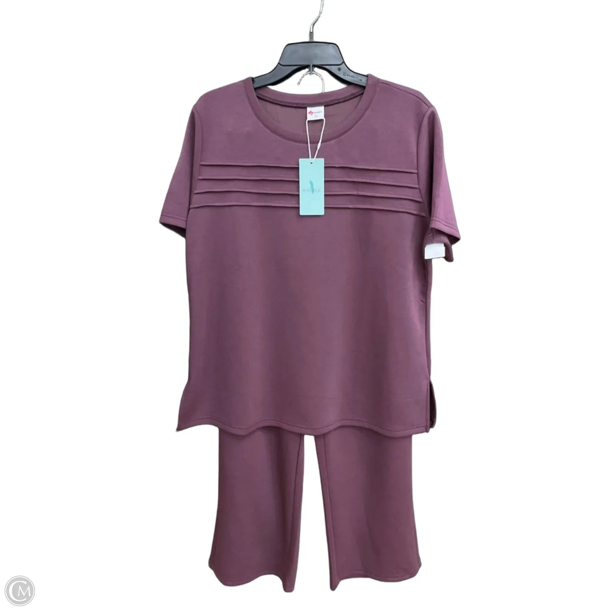 Pants Set 2pc By Clothes Mentor In Purple, Size: Xl
