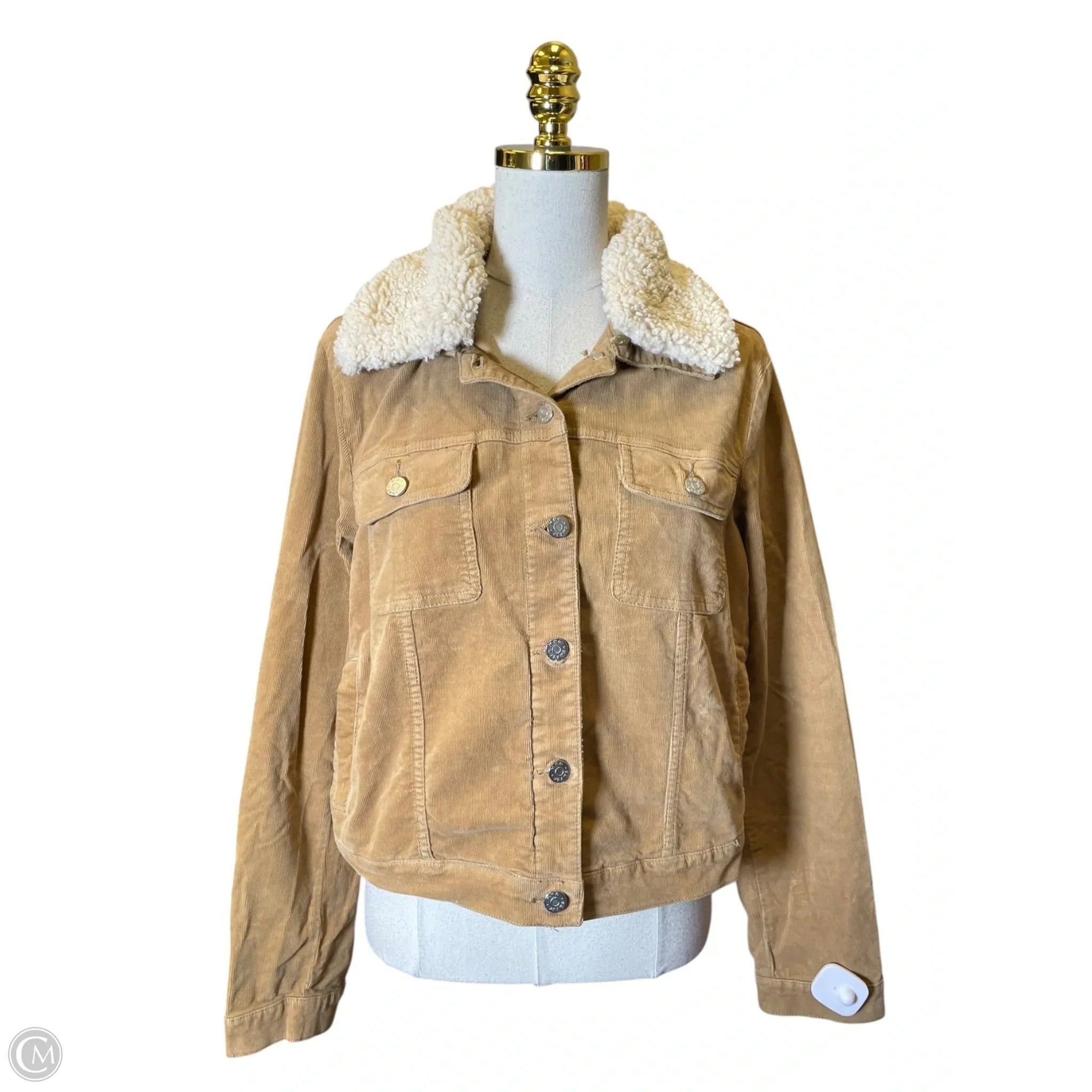 Jacket Other By Mng In Tan, Size: Xxl