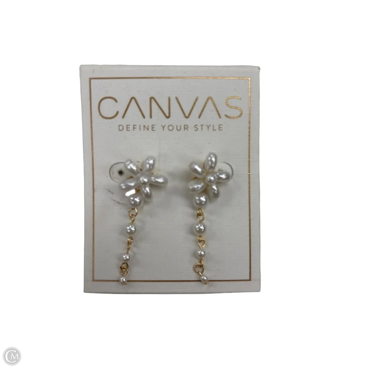 Earrings Dangle/drop By Canvas