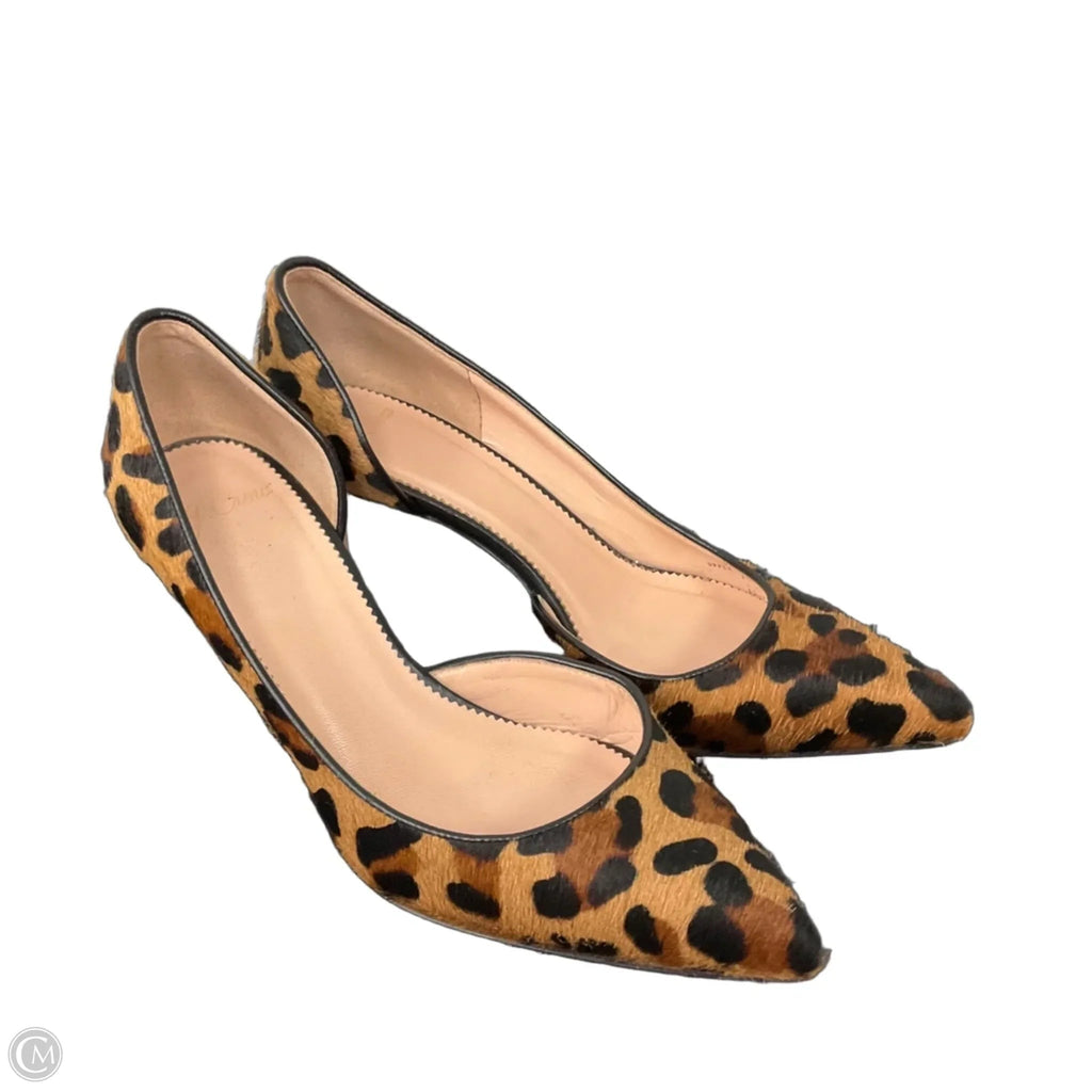 Shoes Heels Kitten By J. Crew In Animal Print, Size: 6