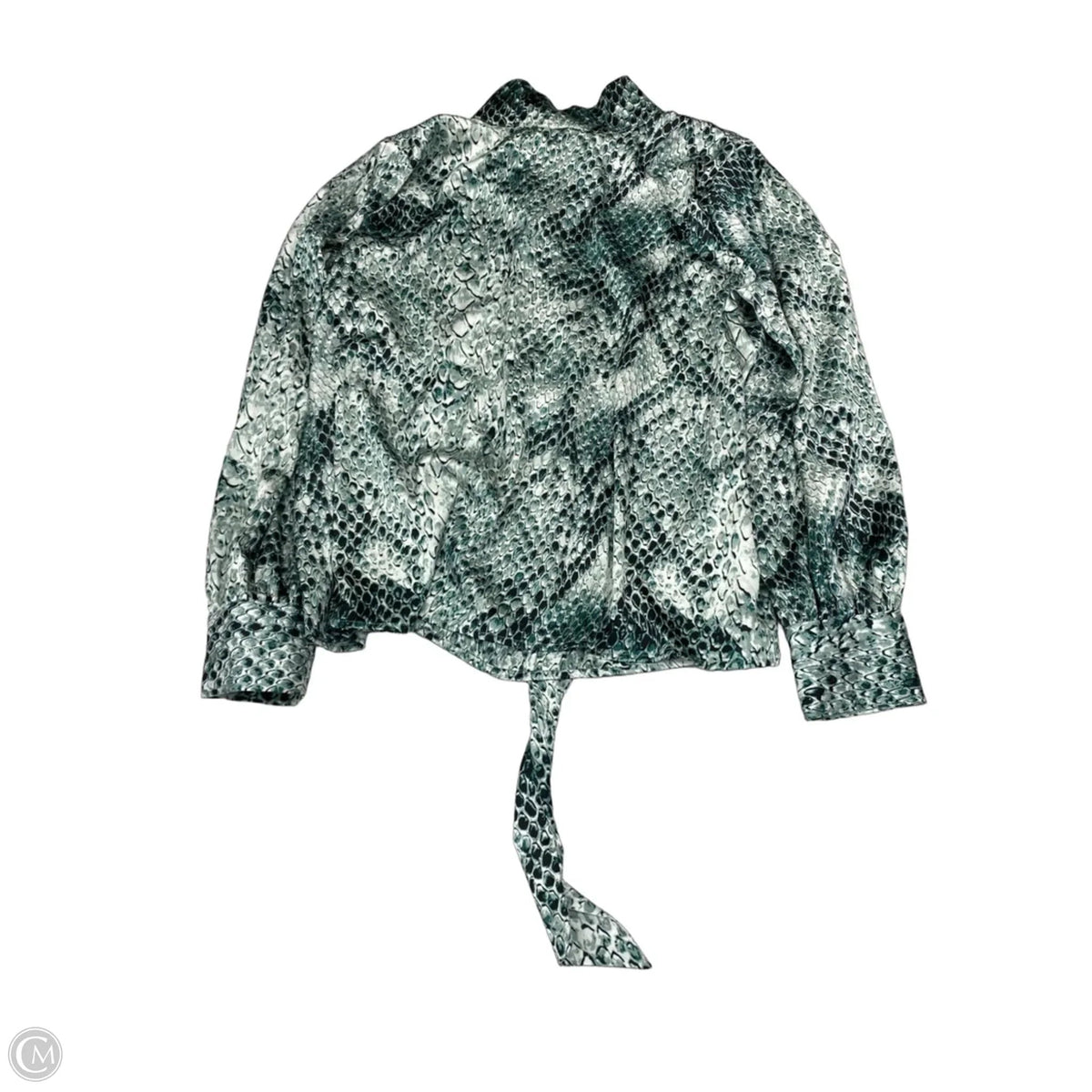 Blouse Long Sleeve By Worthington In Snakeskin Print, Size: Xl